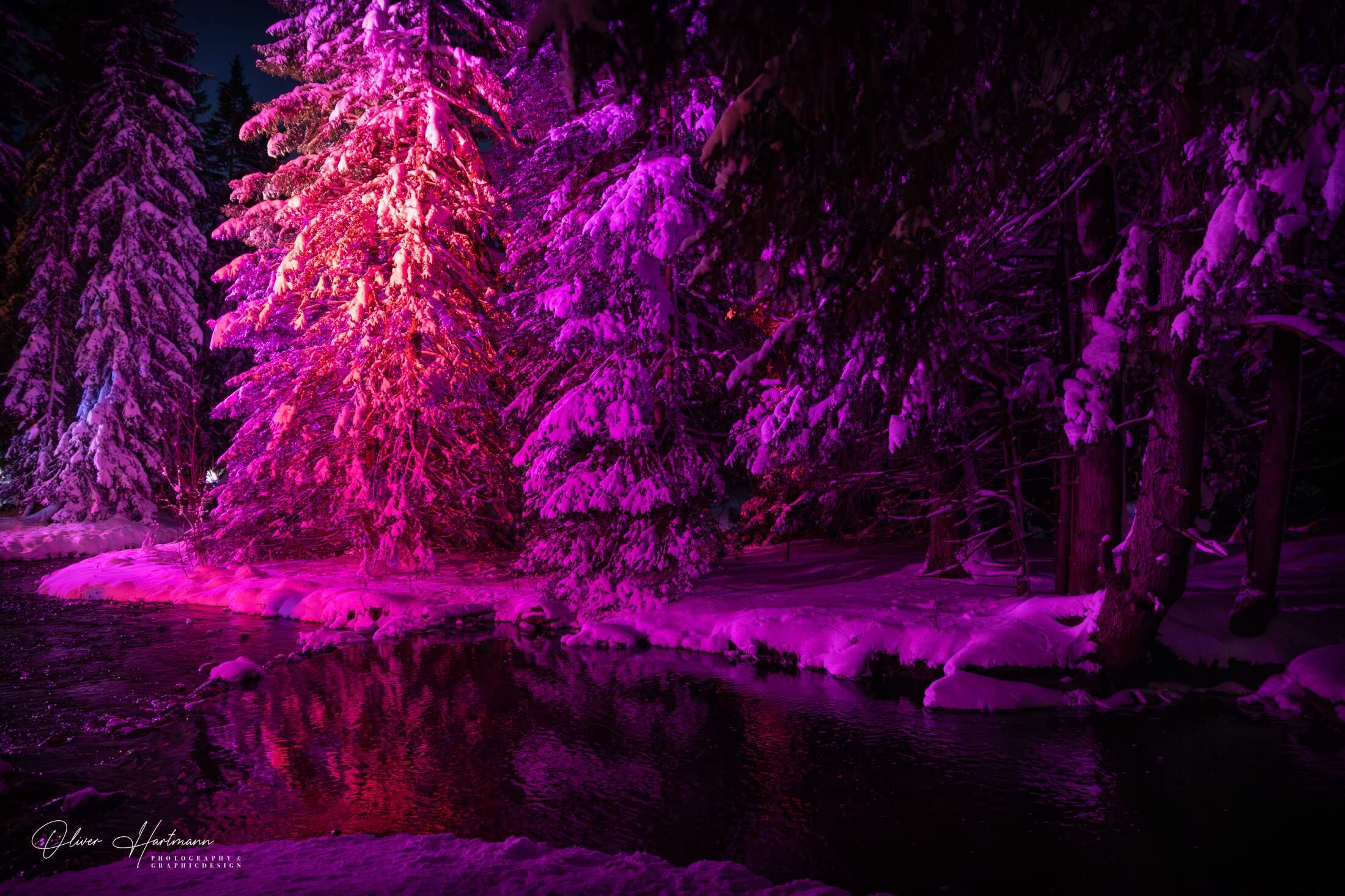 Bild ohne Beschreibung Bild ohne Beschreibung