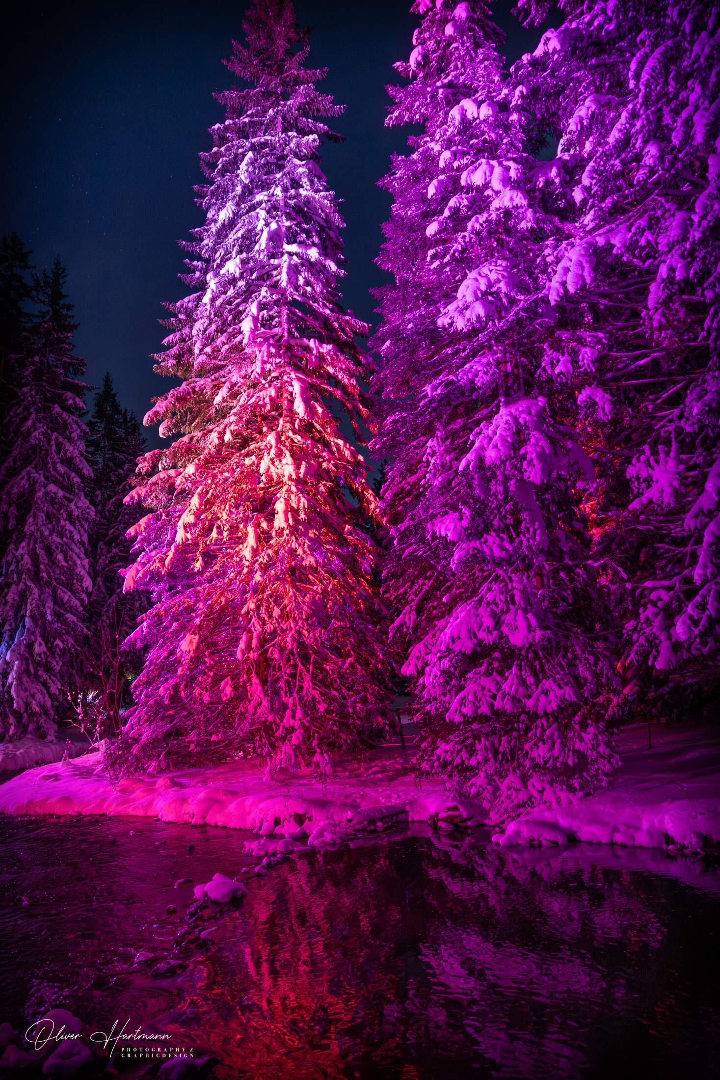 Bild ohne Beschreibung Bild ohne Beschreibung