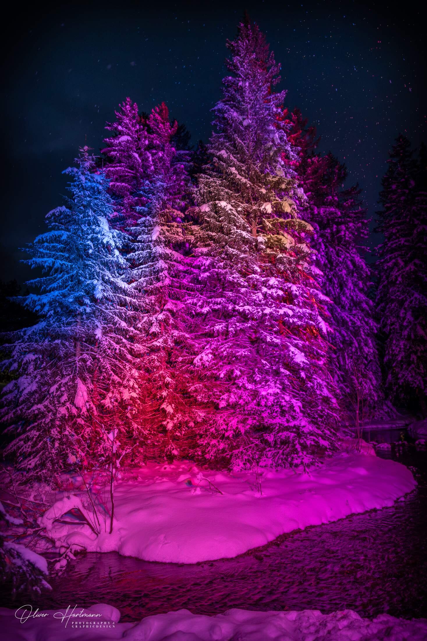 Bild ohne Beschreibung Bild ohne Beschreibung