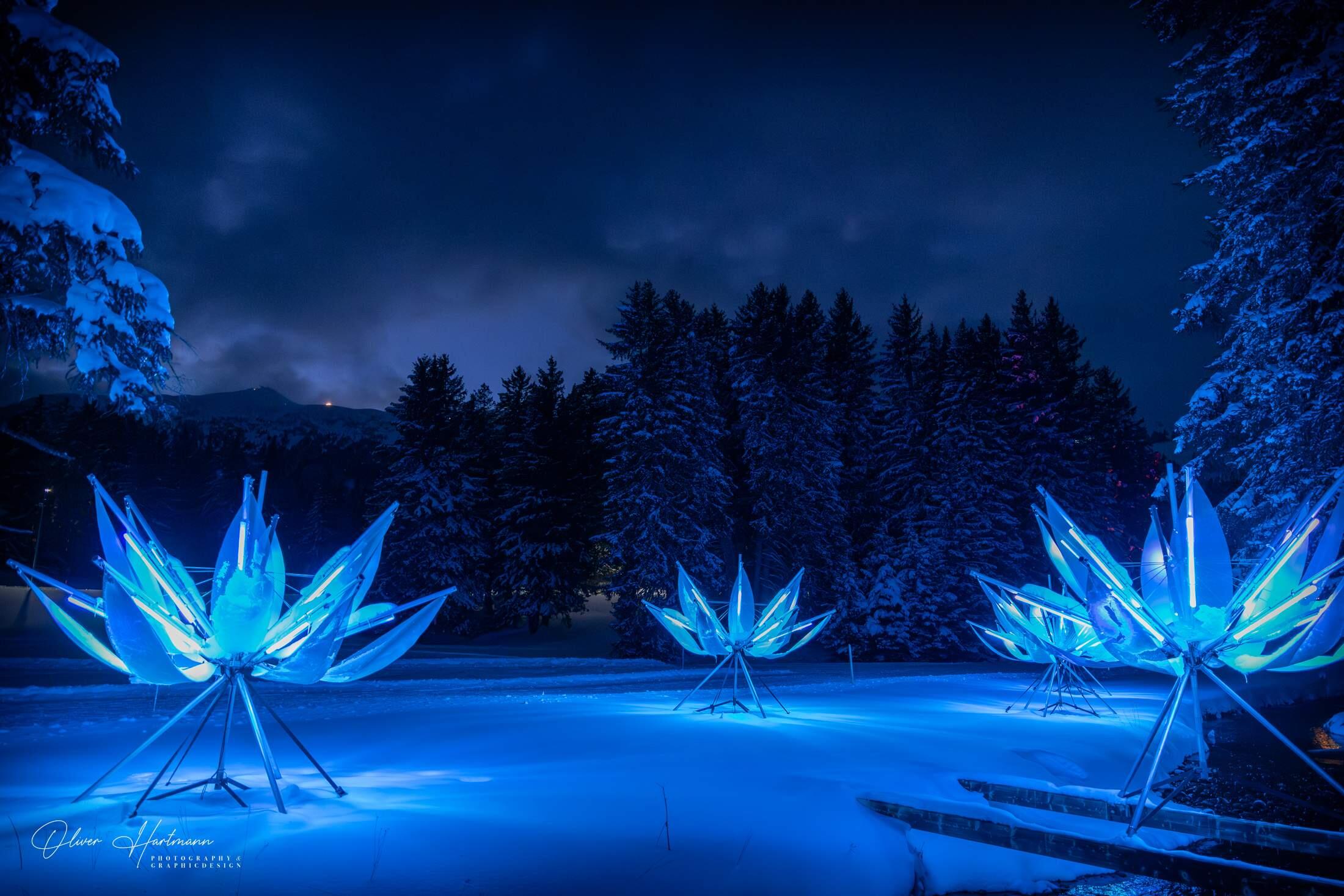 Bild ohne Beschreibung Bild ohne Beschreibung