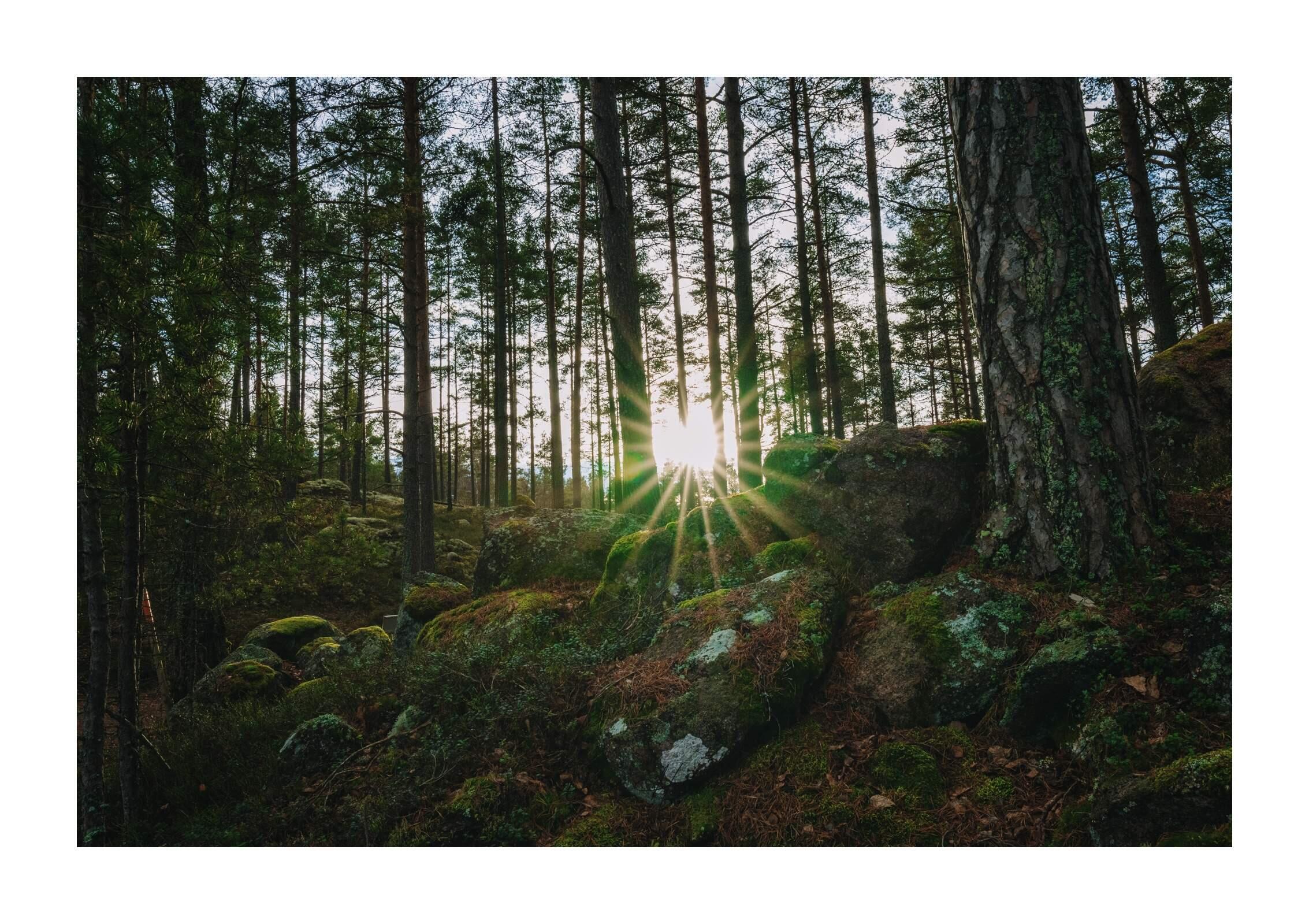 Bild ohne Beschreibung Bild ohne Beschreibung