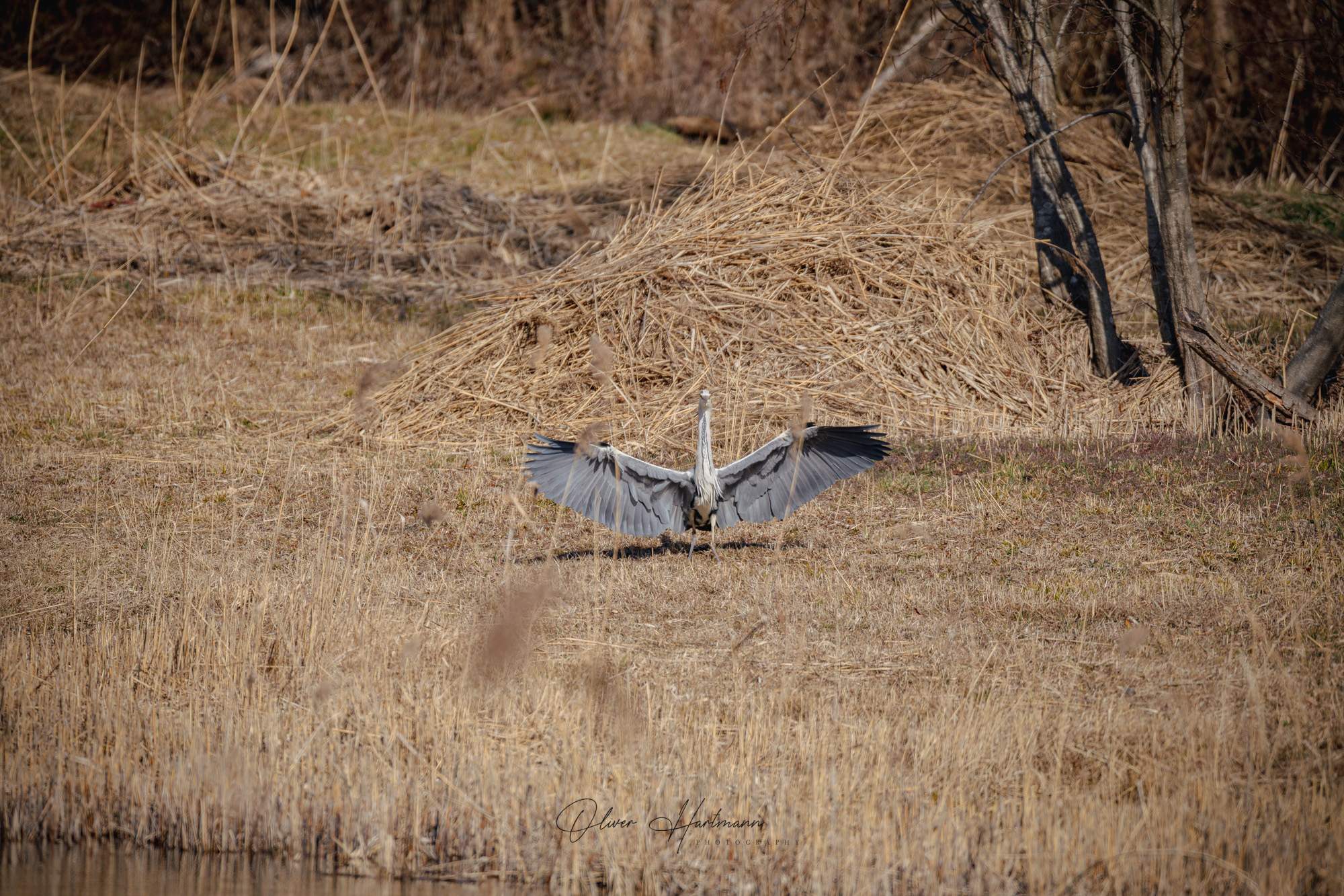 Bild ohne Beschreibung