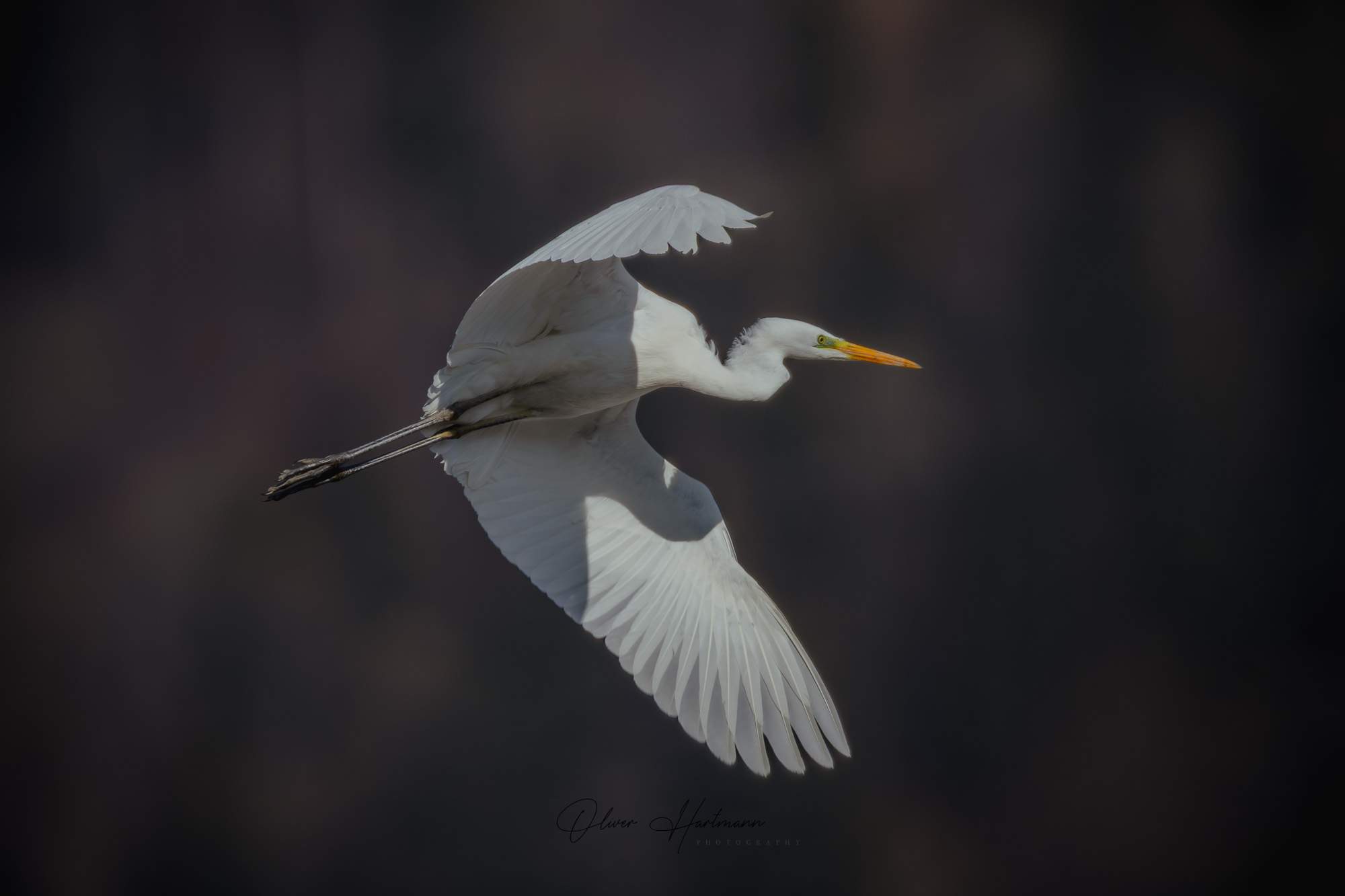 Bild ohne Beschreibung