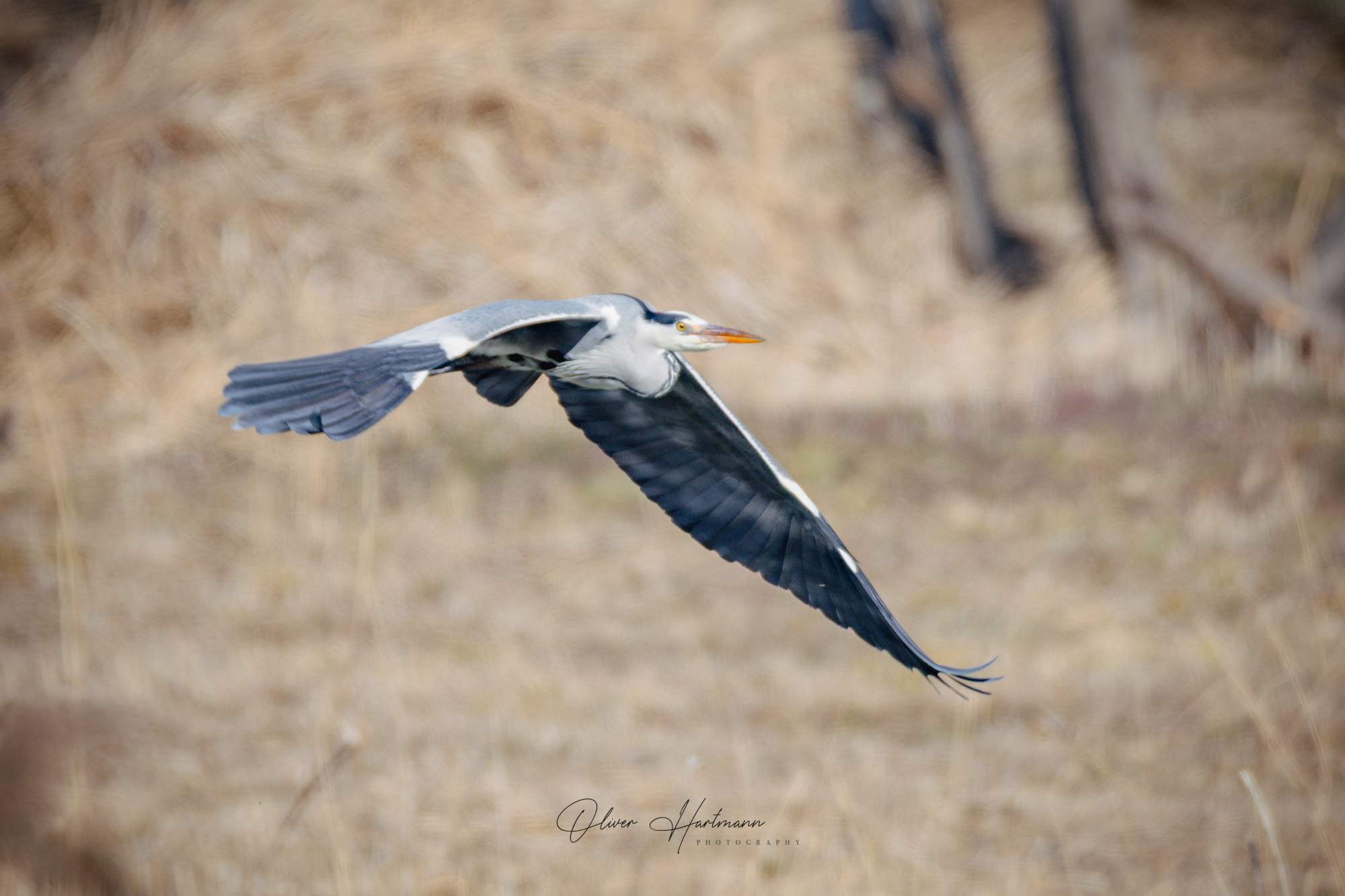 Bild ohne Beschreibung