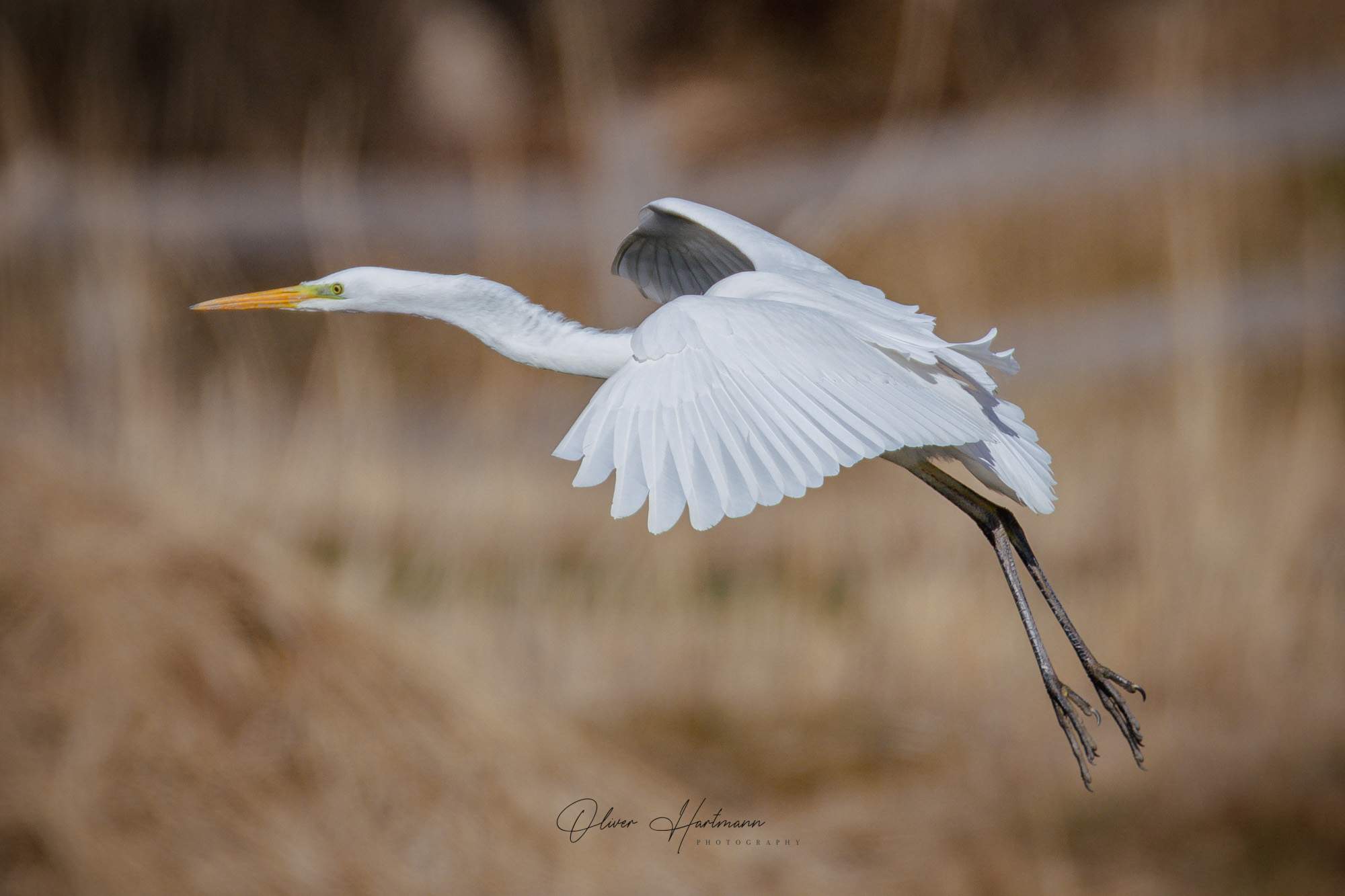 Bild ohne Beschreibung