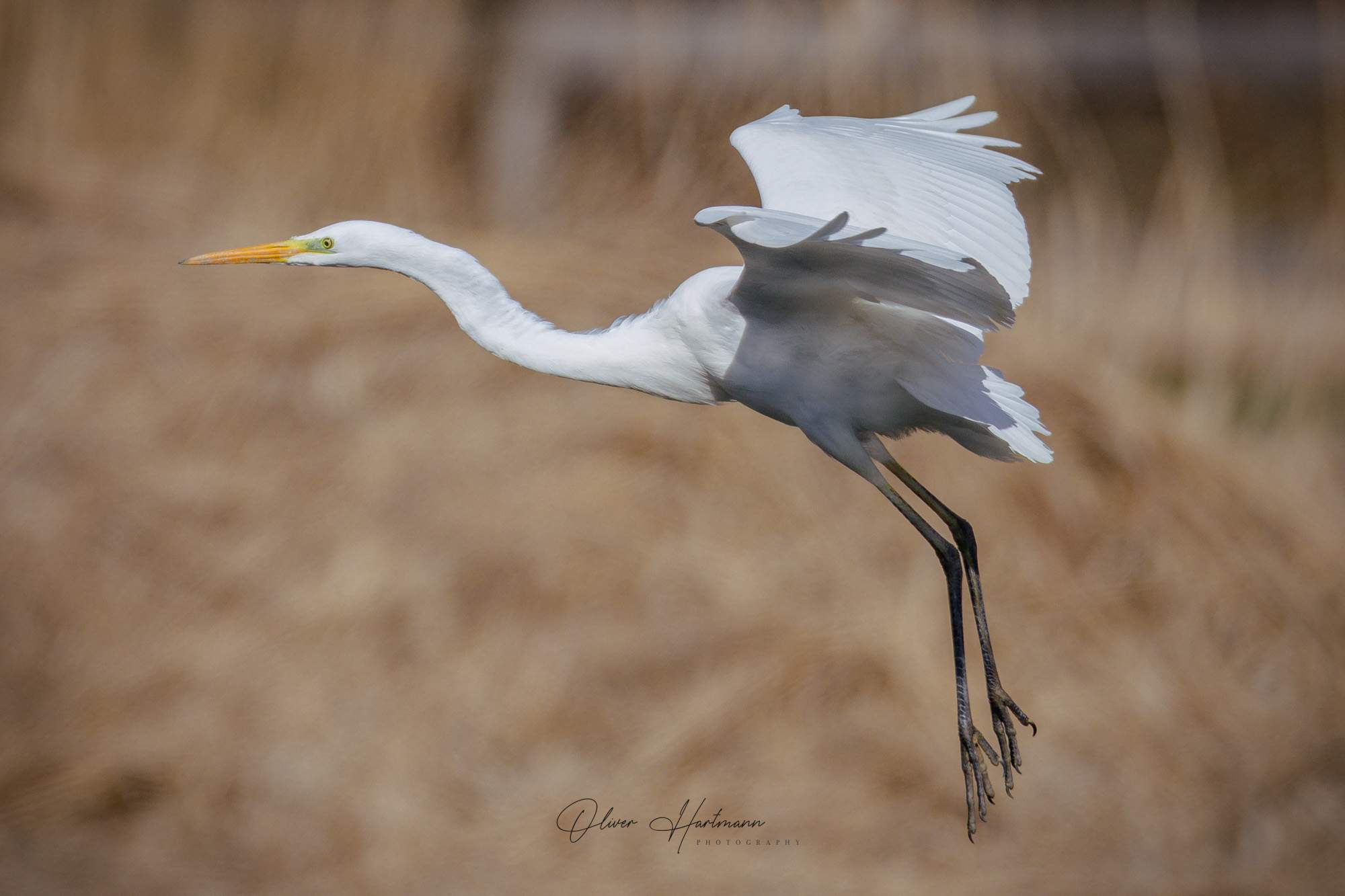Bild ohne Beschreibung