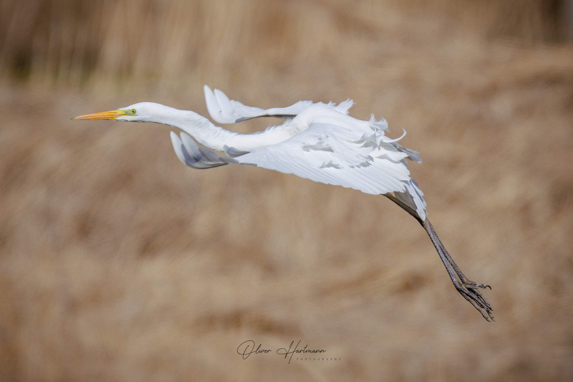 Bild ohne Beschreibung