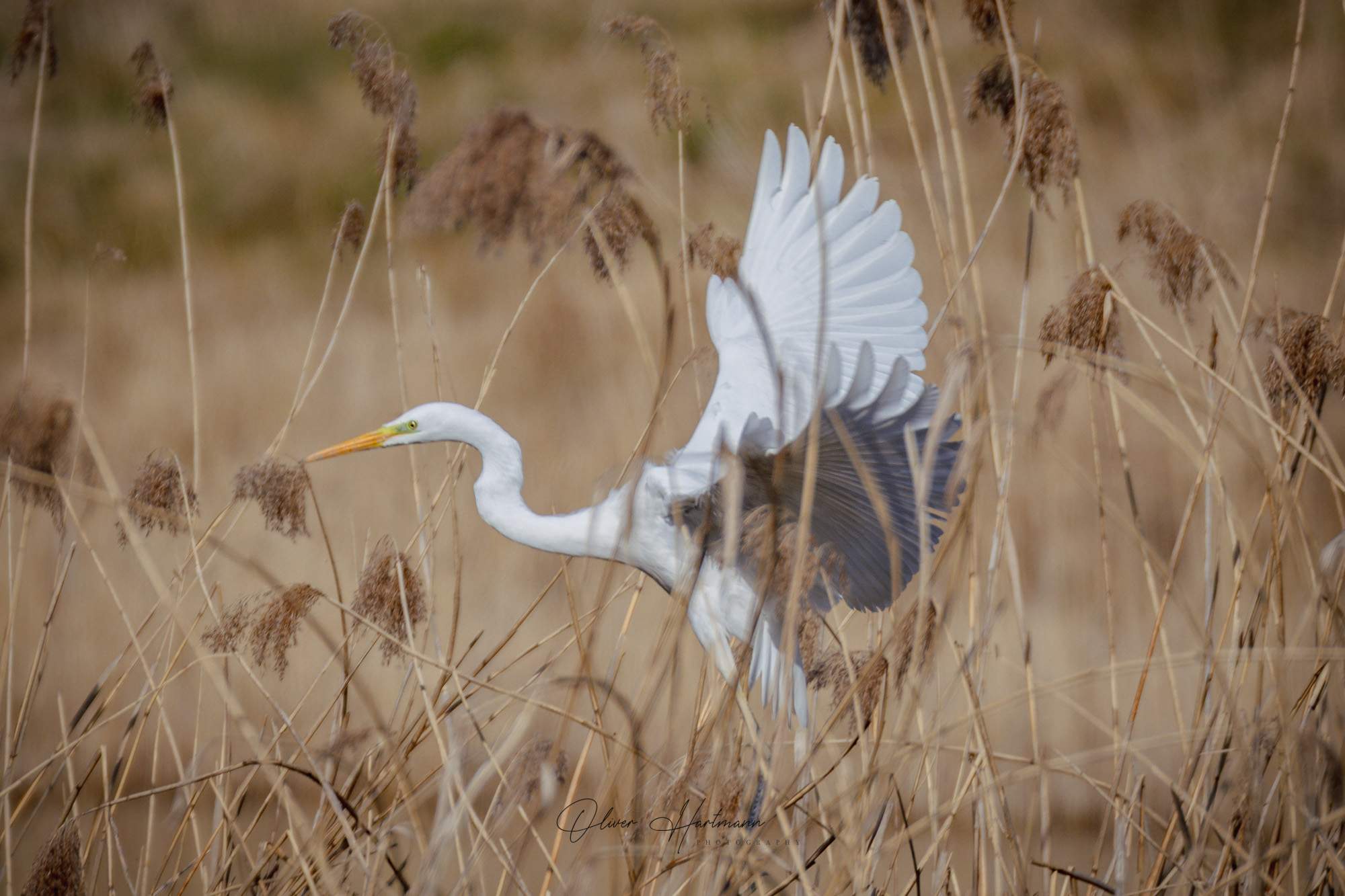 Bild ohne Beschreibung