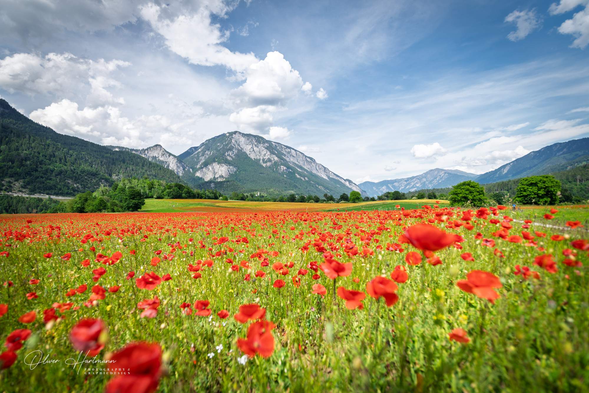 Bild ohne Beschreibung Bild ohne Beschreibung