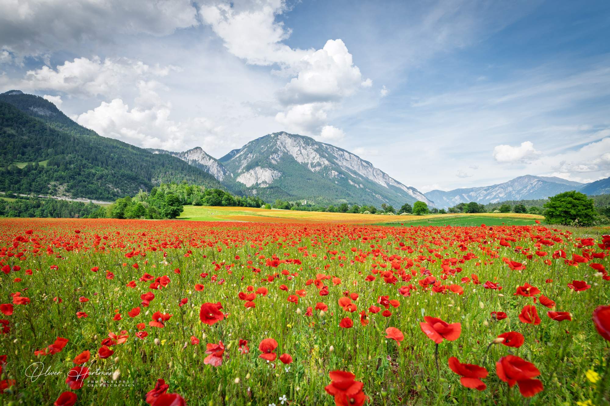 Bild ohne Beschreibung Bild ohne Beschreibung