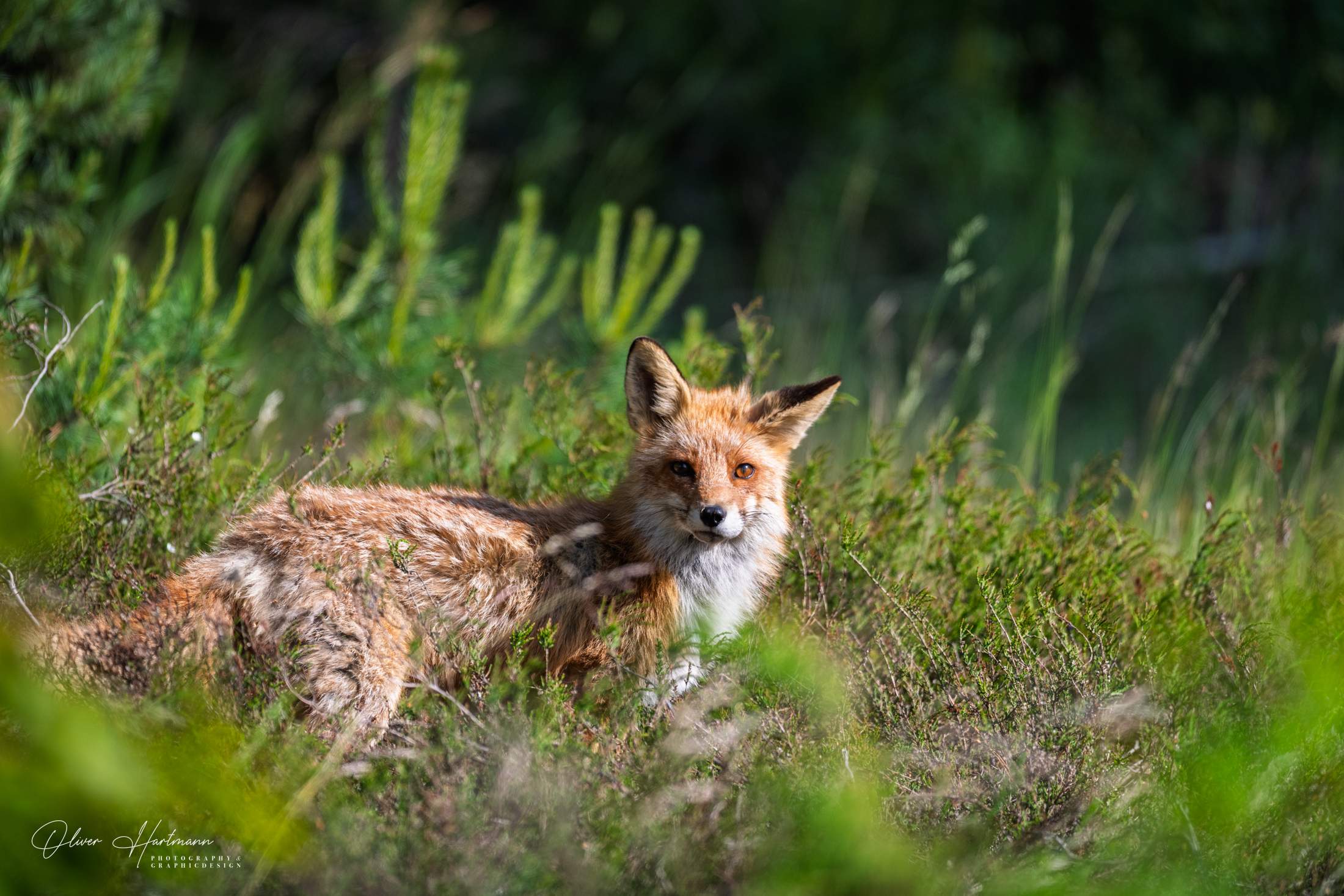 Bild ohne Beschreibung Bild ohne Beschreibung