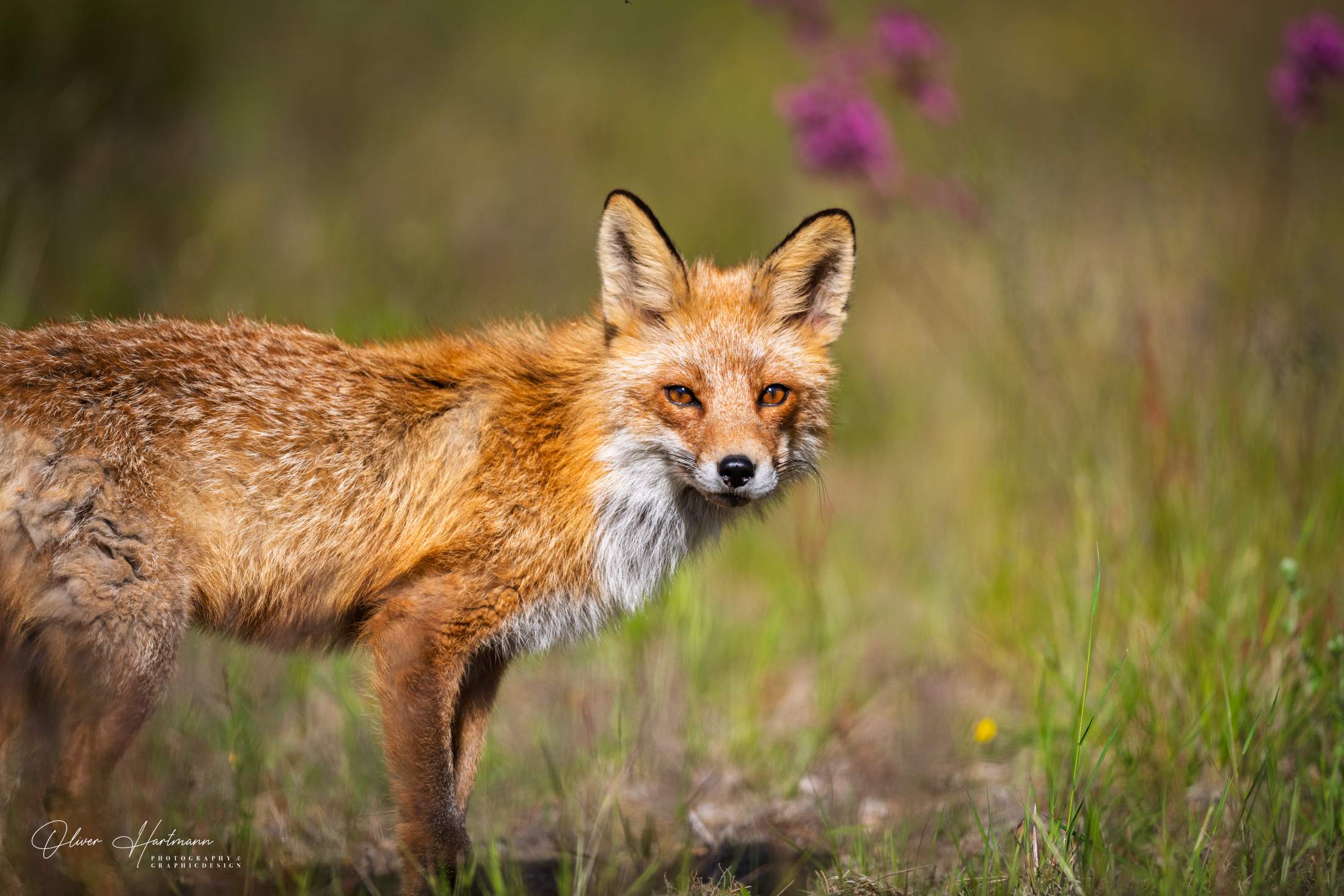 Bild ohne Beschreibung Bild ohne Beschreibung