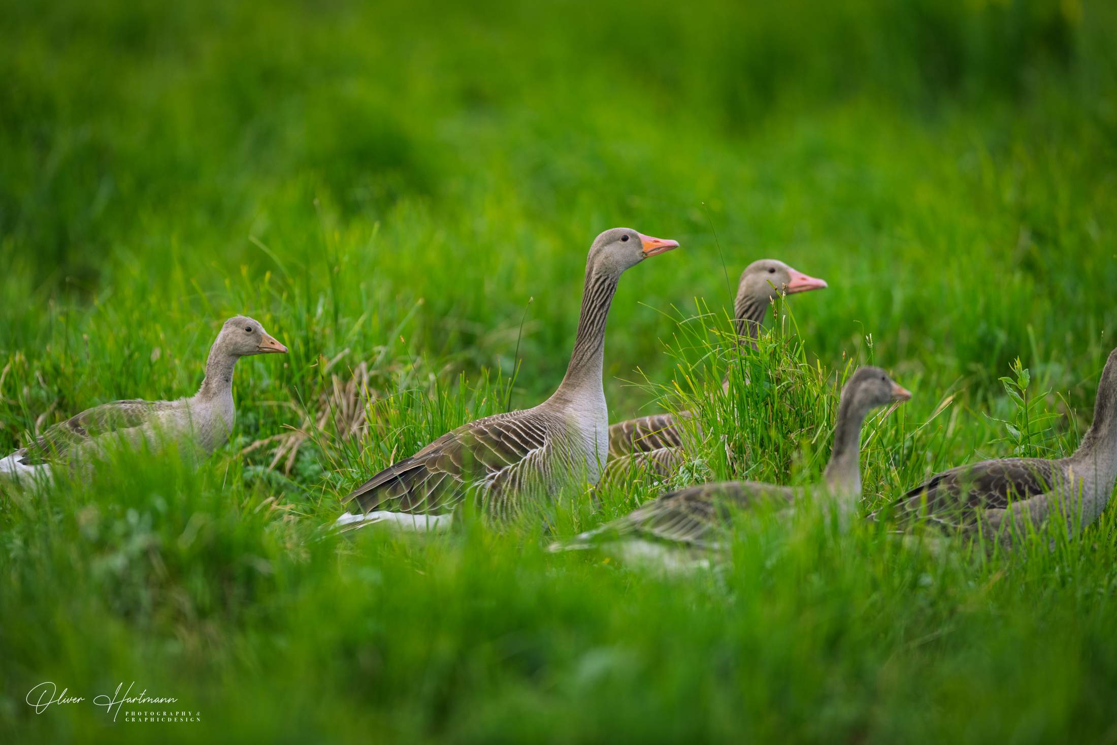 Bild ohne Beschreibung Bild ohne Beschreibung