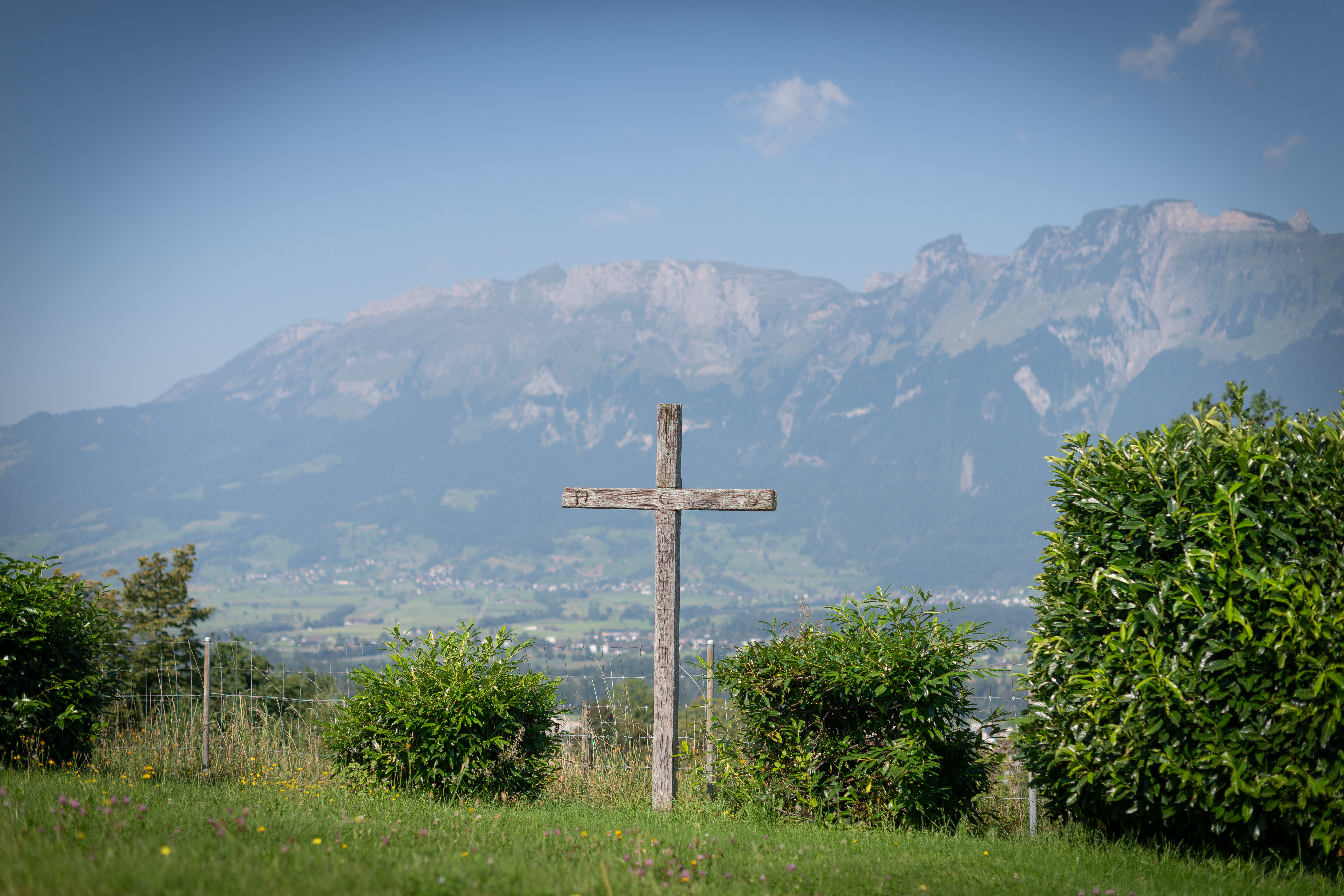 Bild ohne Beschreibung