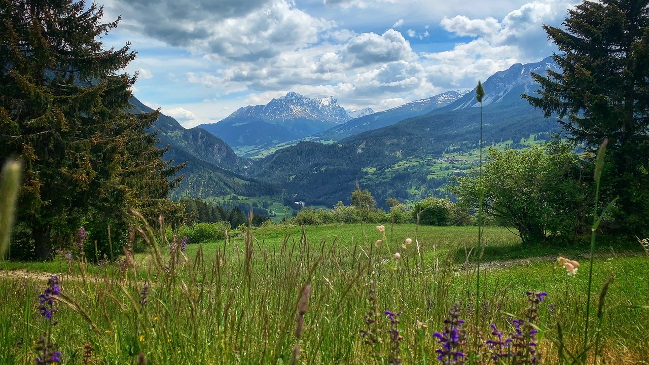 Bild ohne Beschreibung