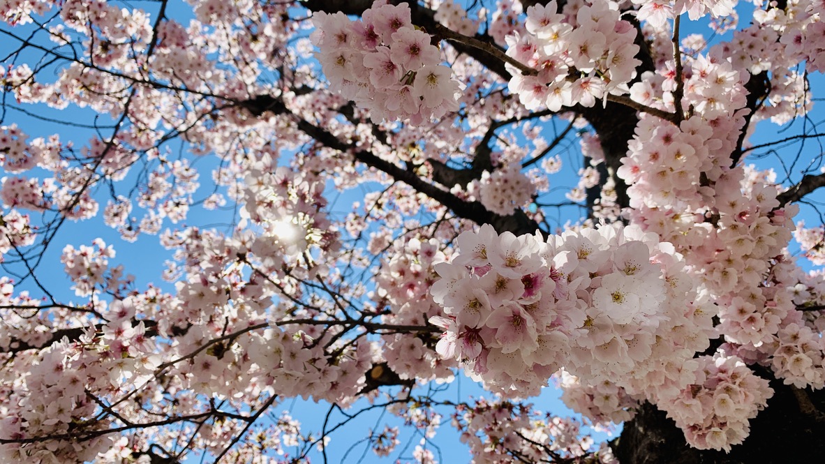 Bild ohne Beschreibung