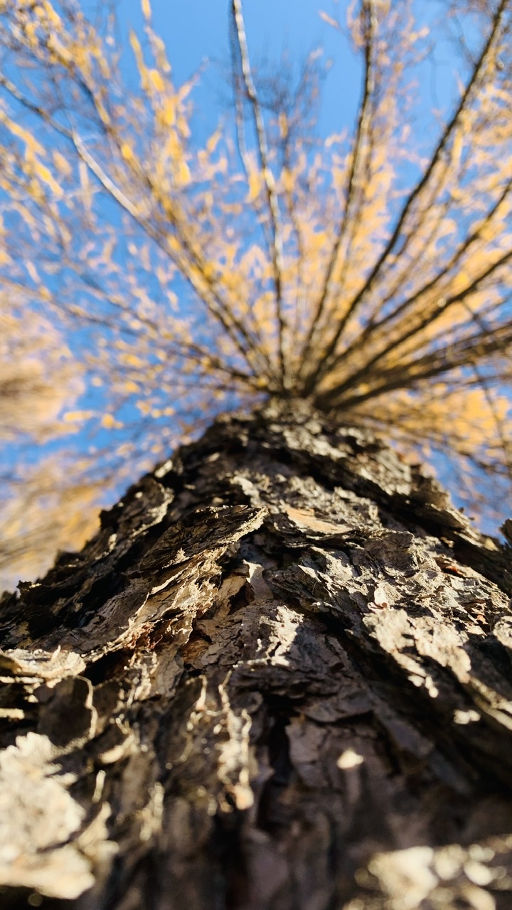 Bild ohne Beschreibung