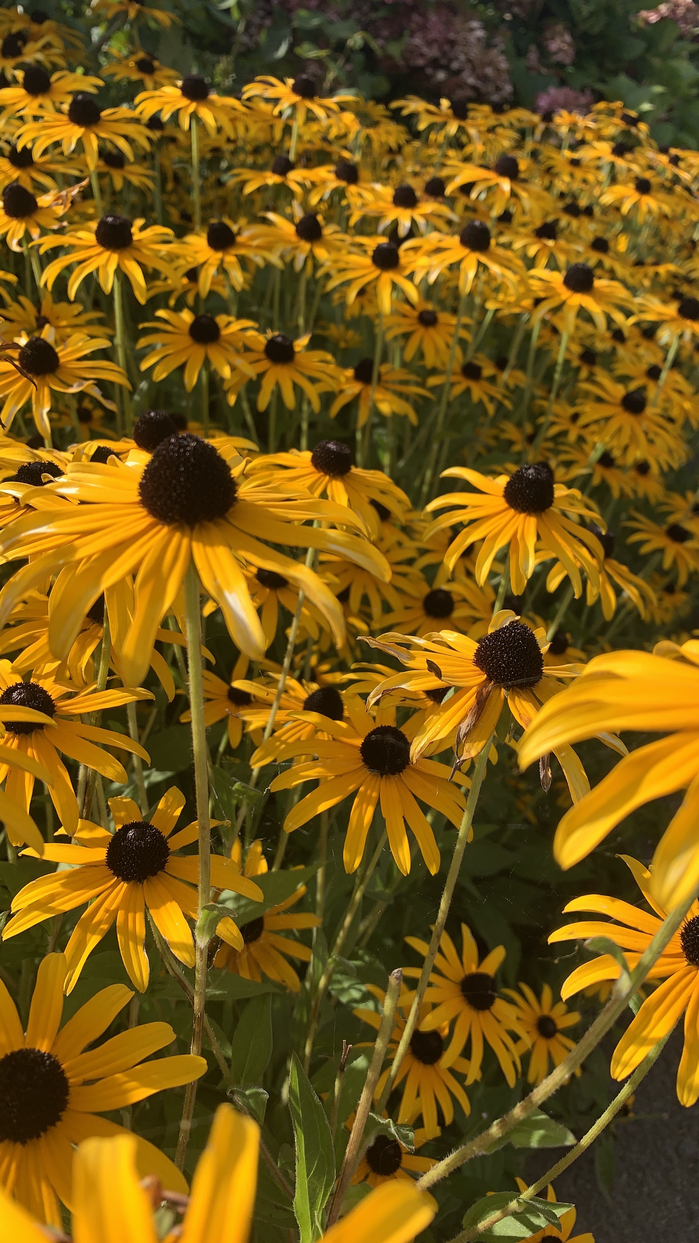 Bild ohne Beschreibung