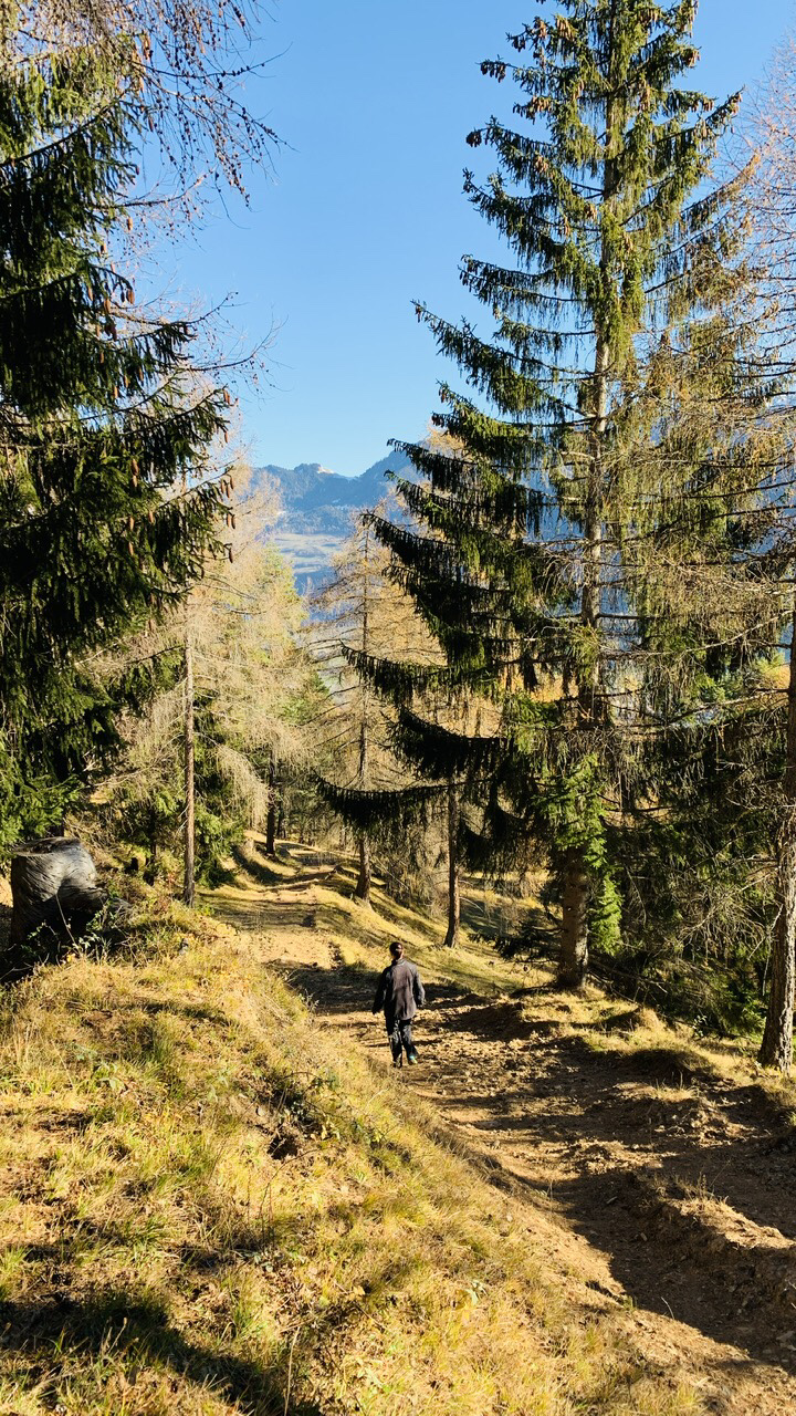 Bild ohne Beschreibung