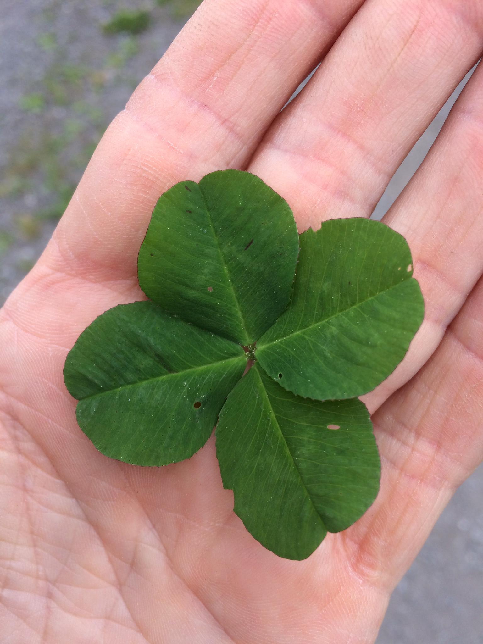 Bild ohne Beschreibung