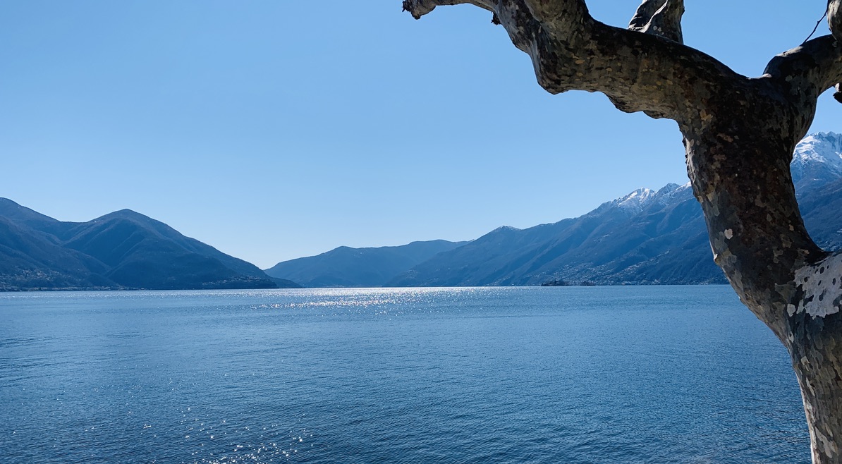 Bild ohne Beschreibung