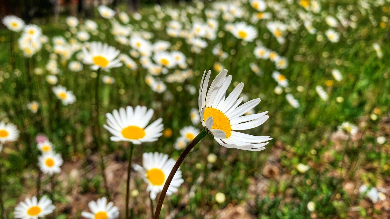 Bild ohne Beschreibung