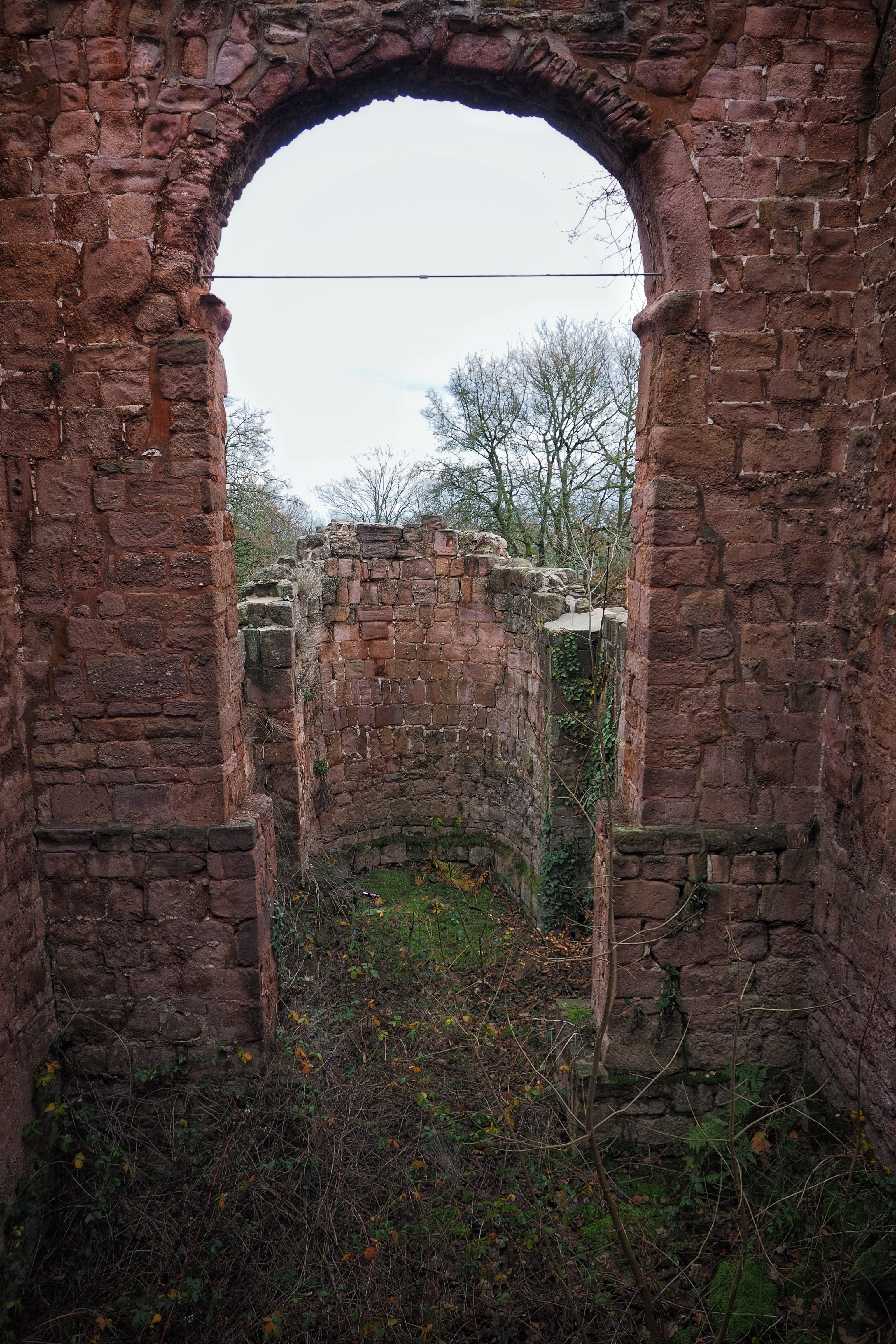 Bild ohne Beschreibung