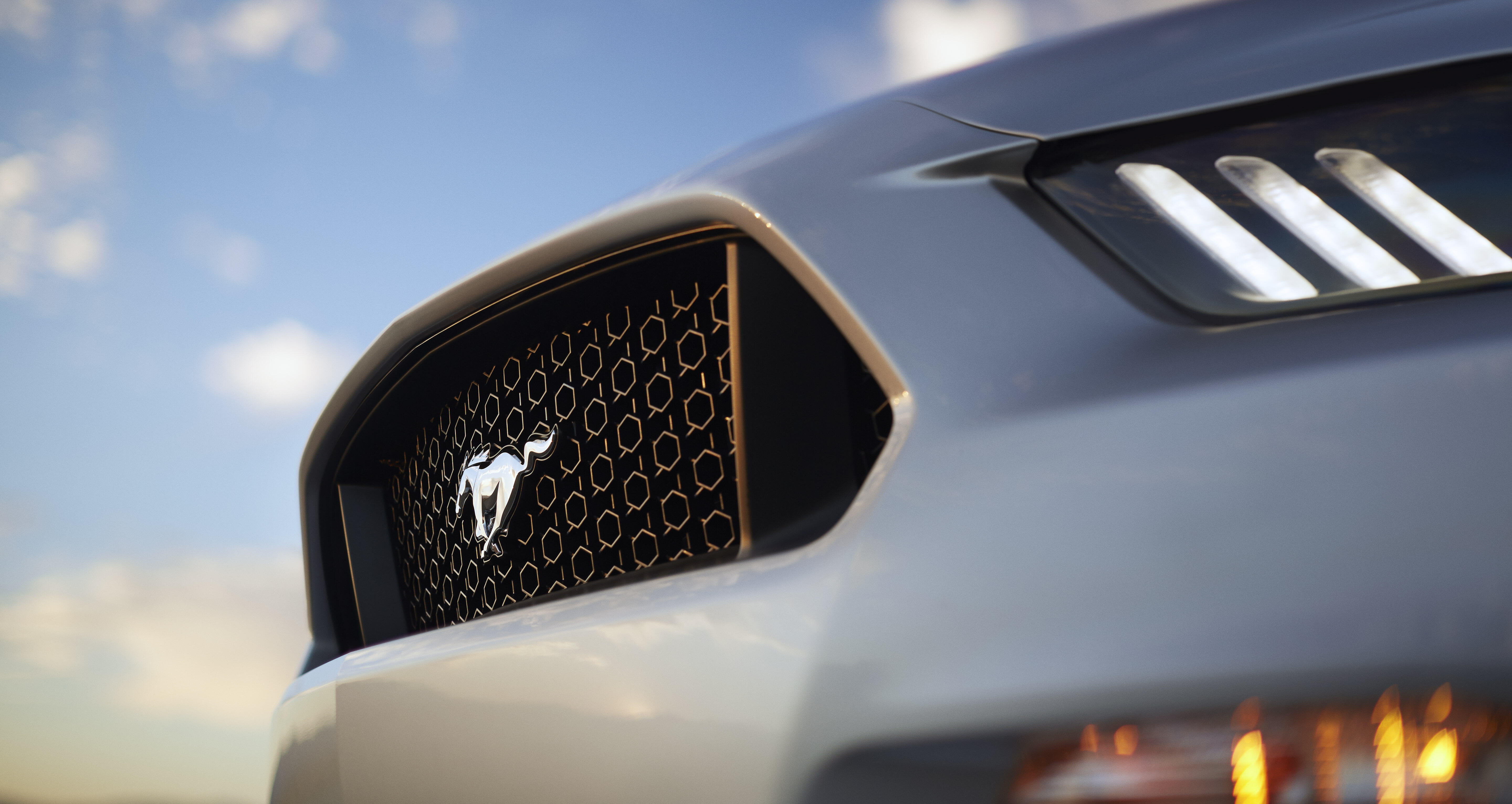 Bild ohne Beschreibung