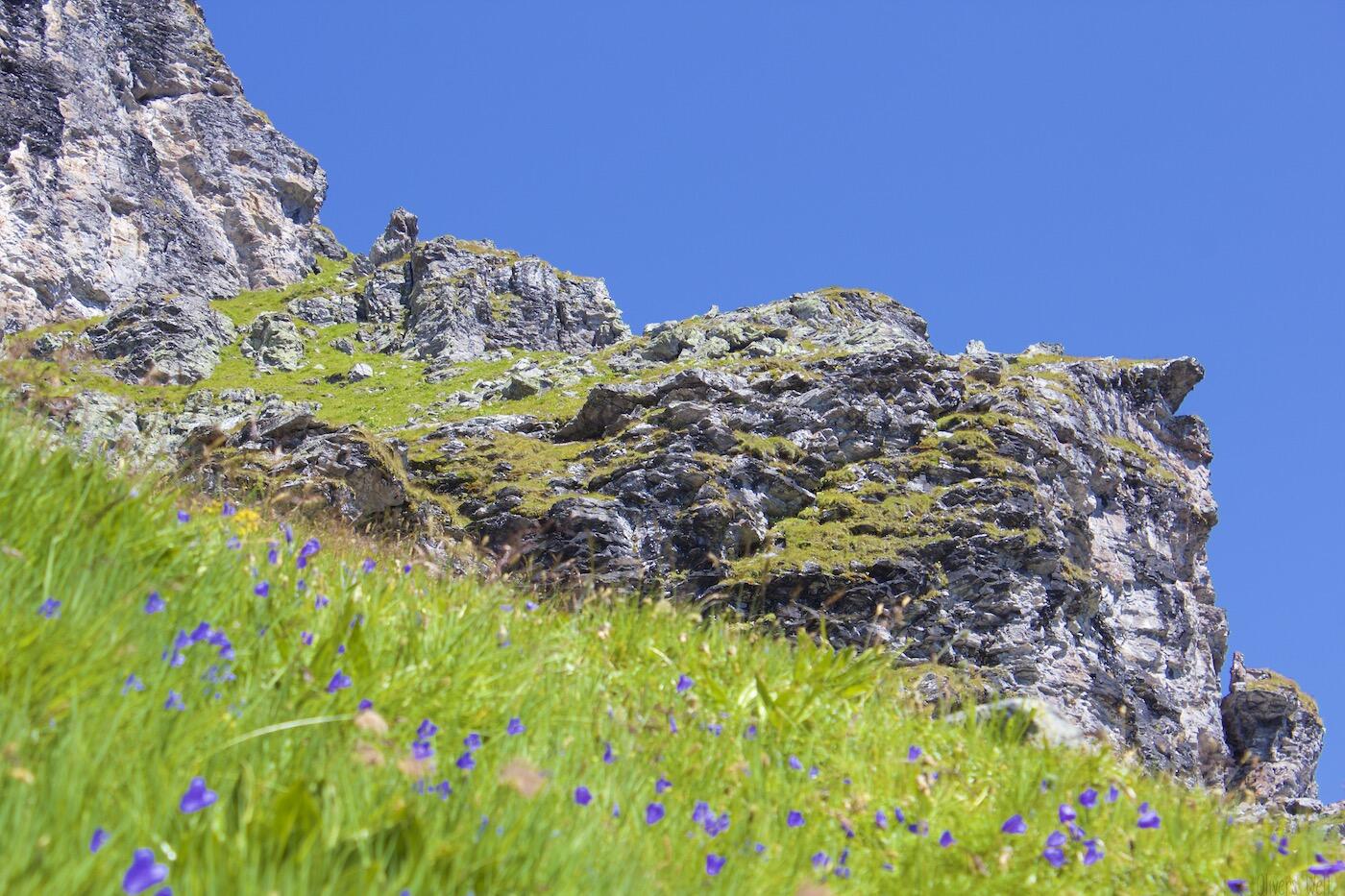 Fotos-5-Seen-Wanderung-Pizol22