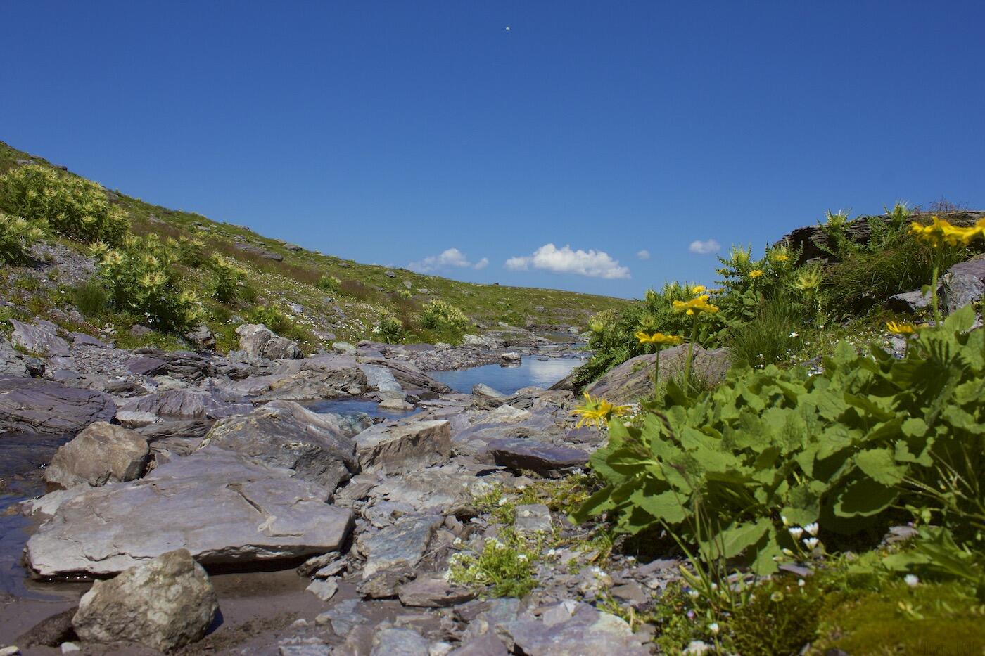 Fotos-5-Seen-Wanderung-Pizol56