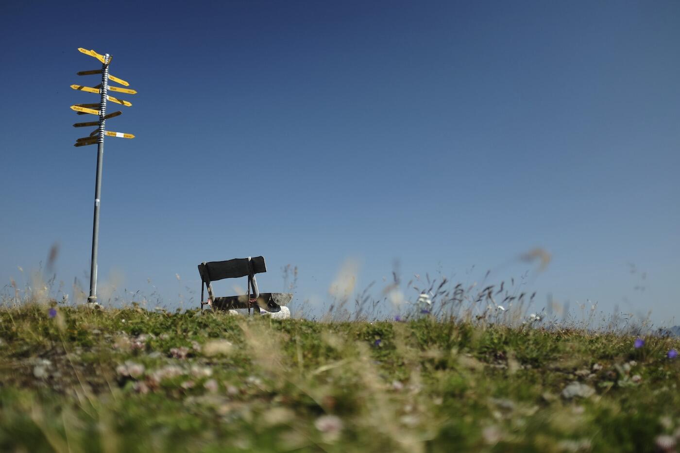 Bild ohne Beschreibung