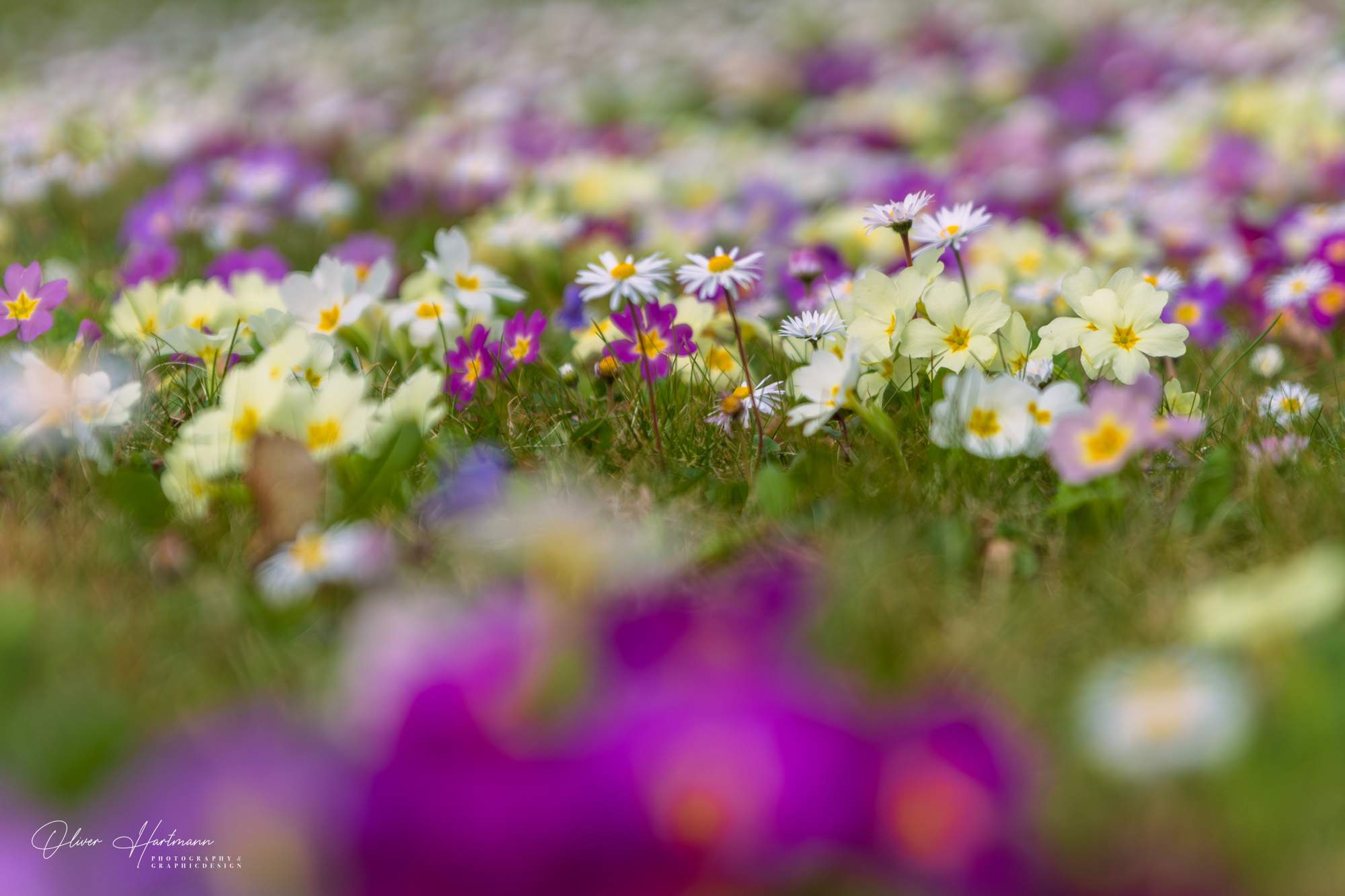 Bild ohne Beschreibung