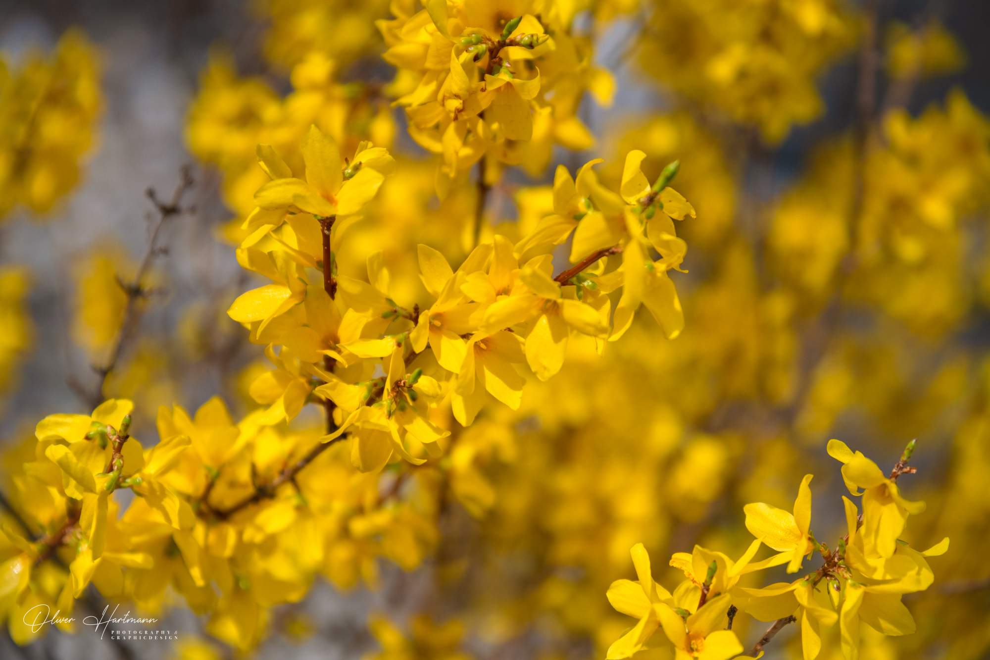 Bild ohne Beschreibung