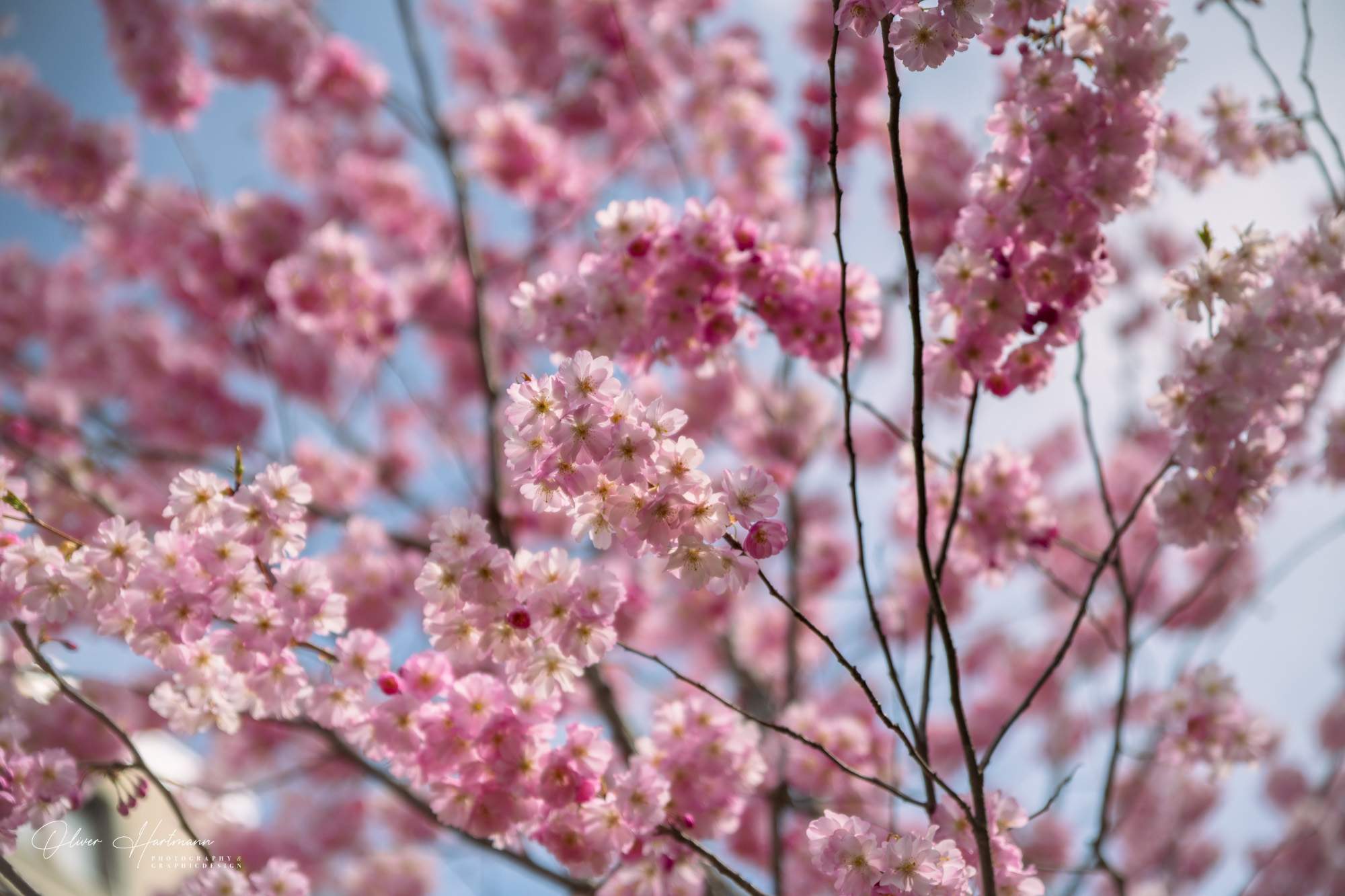 Bild ohne Beschreibung