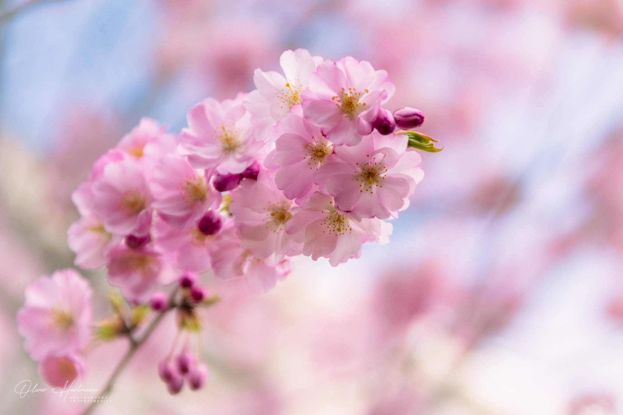 Bild ohne Beschreibung