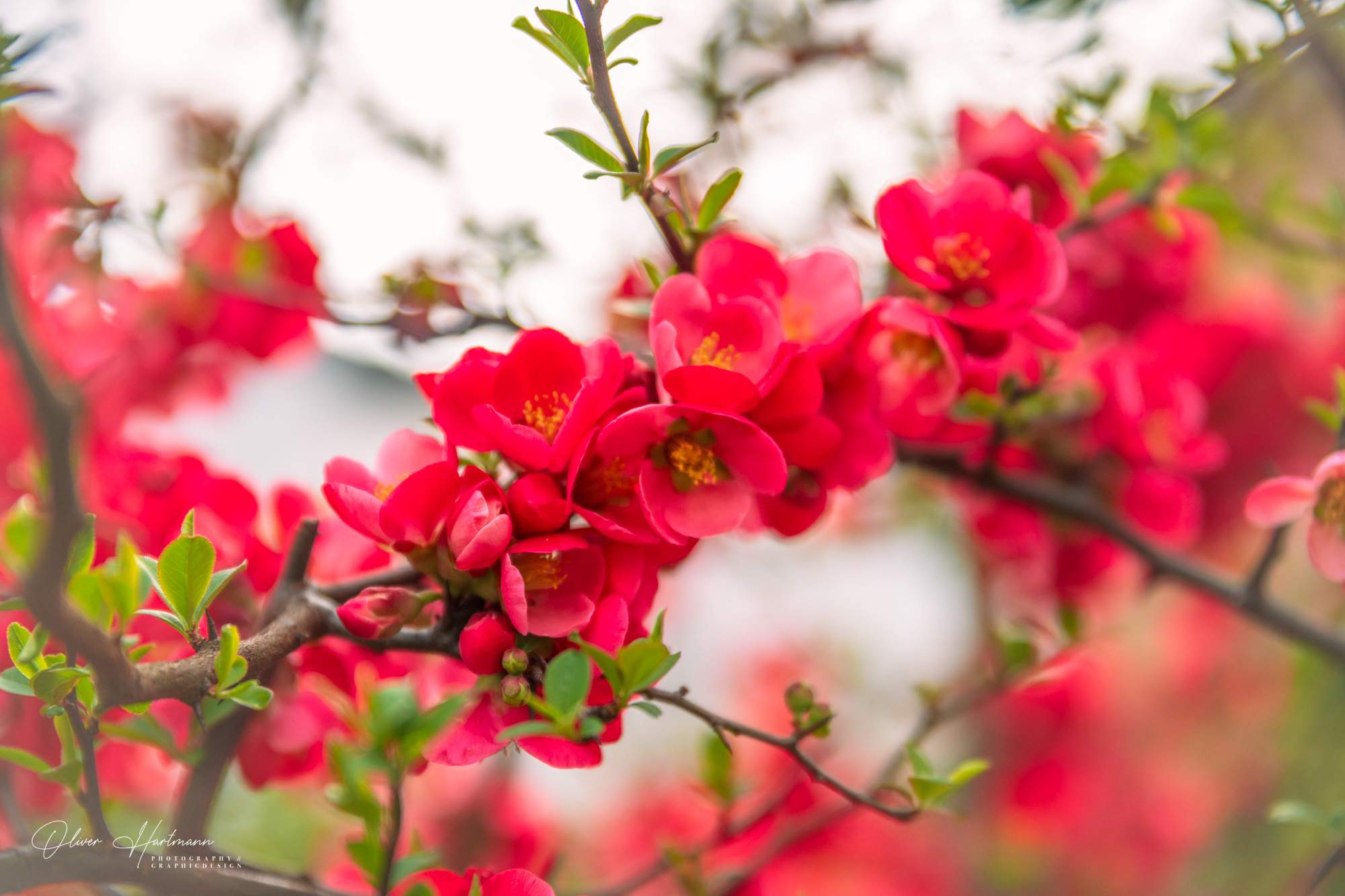 Bild ohne Beschreibung