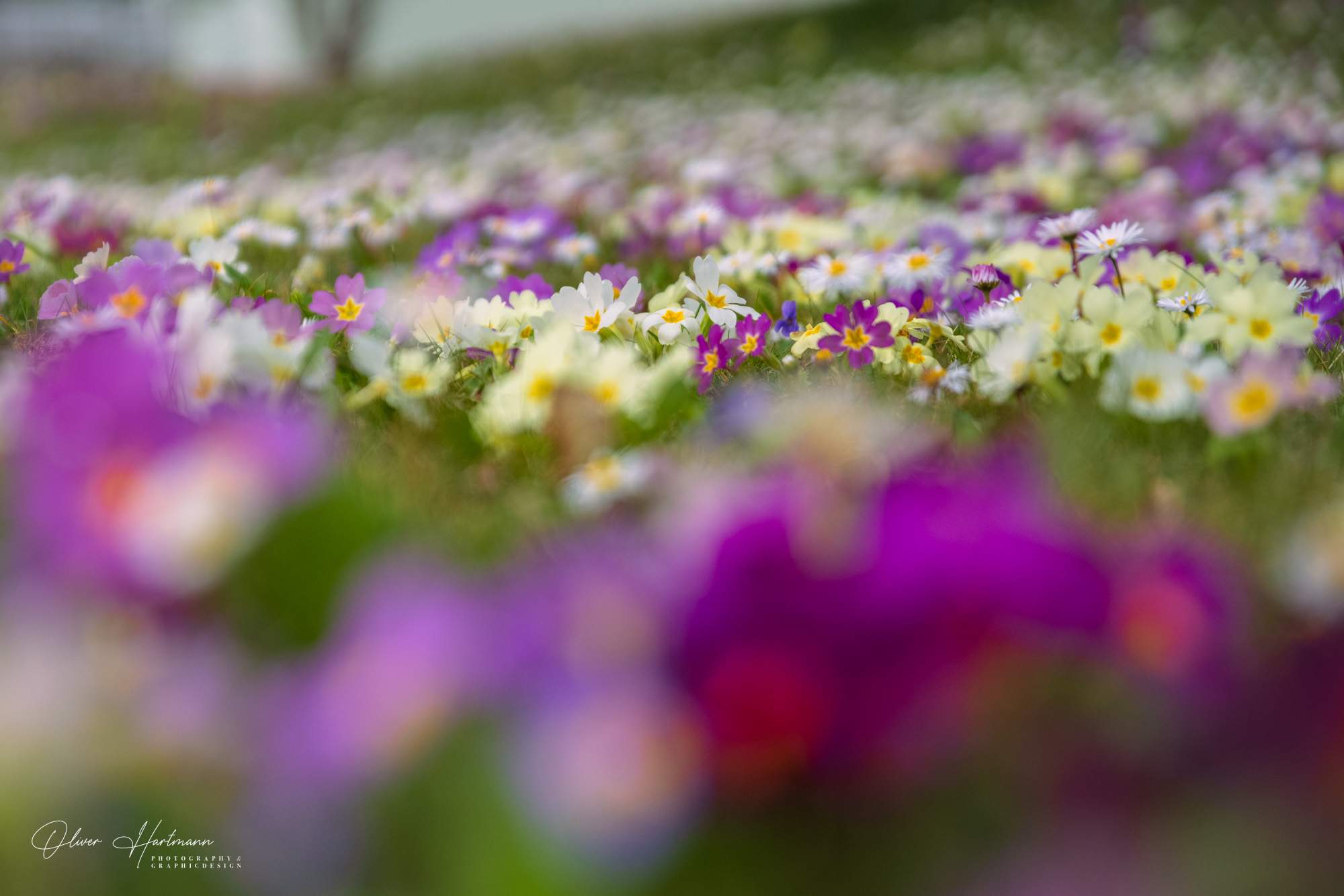 Bild ohne Beschreibung