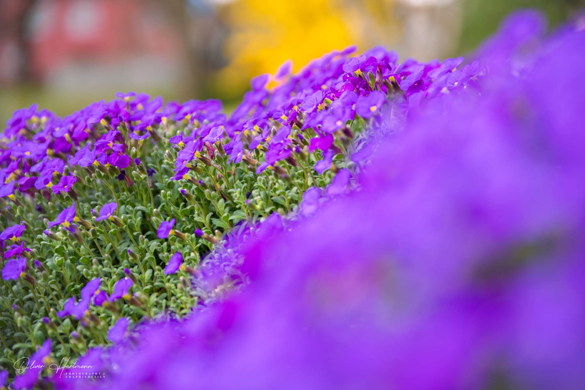 Bild ohne Beschreibung