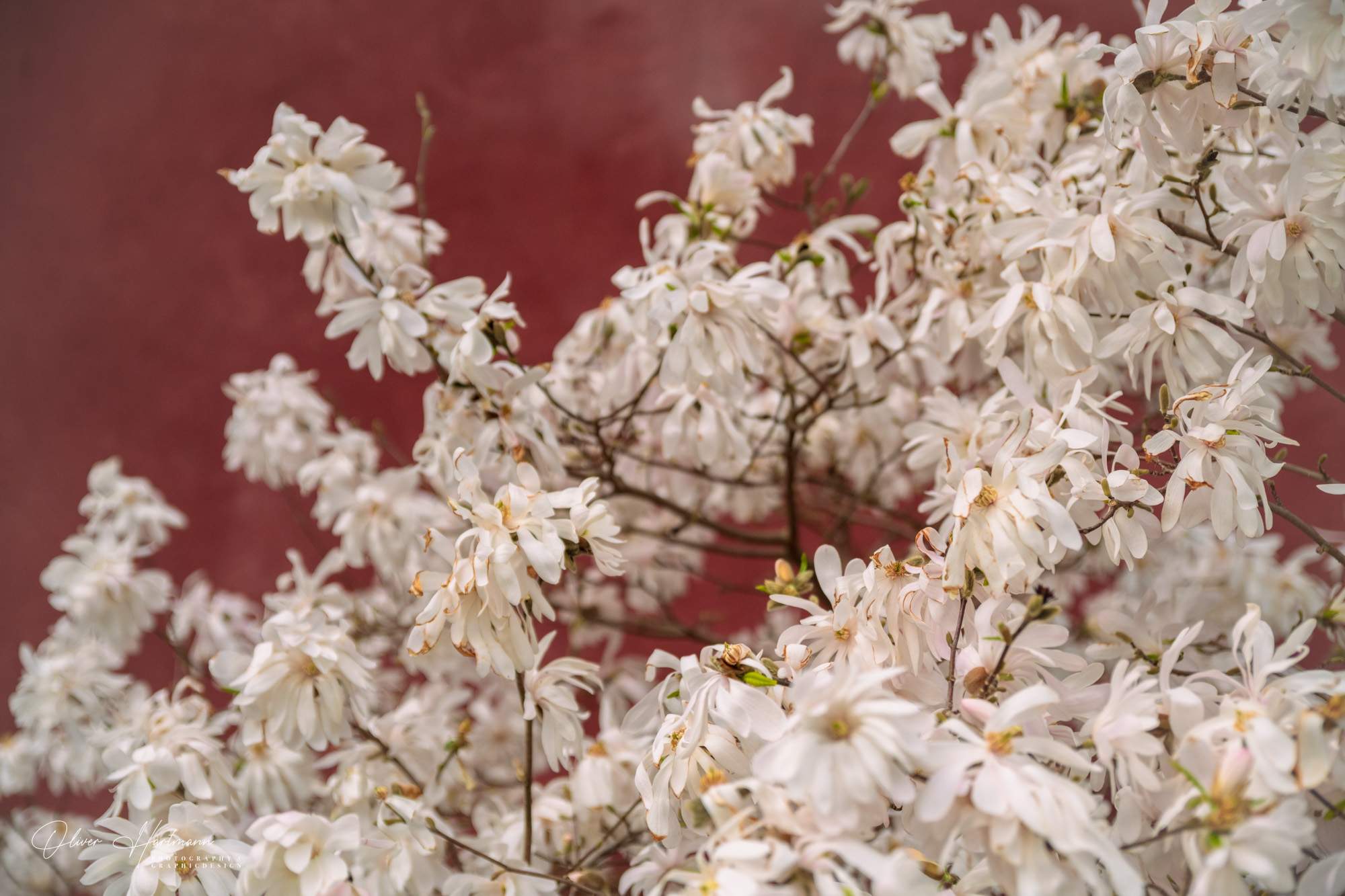 Bild ohne Beschreibung