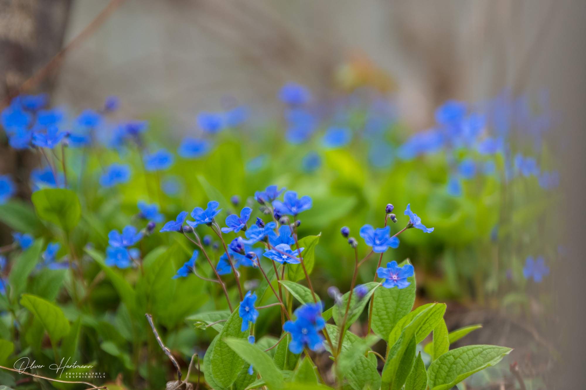 Bild ohne Beschreibung