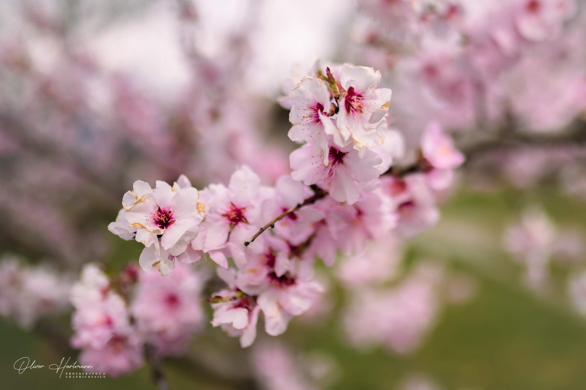 Bild ohne Beschreibung