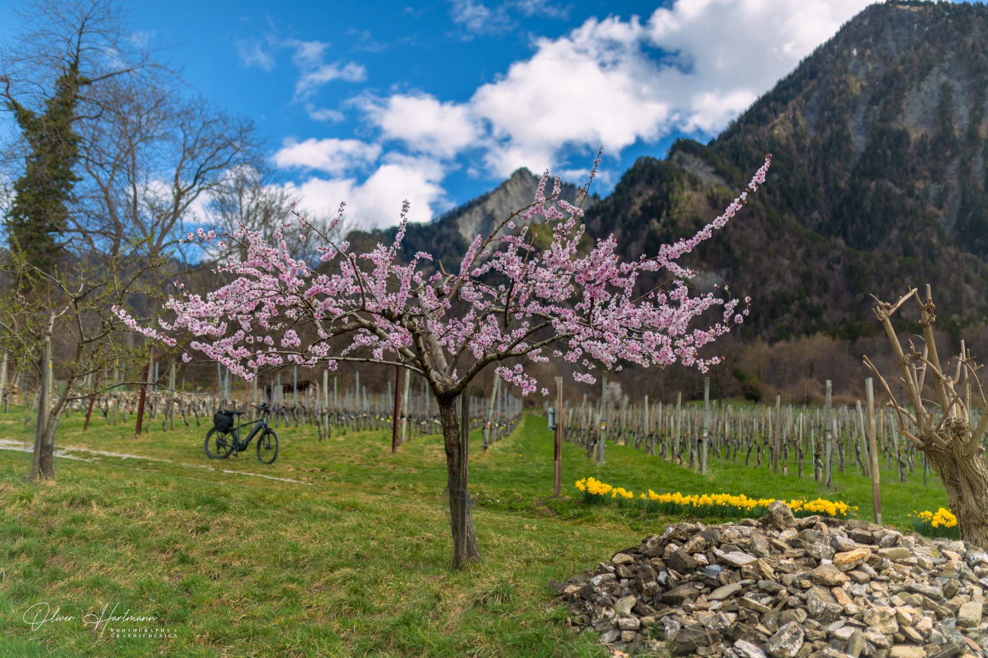 Bild ohne Beschreibung