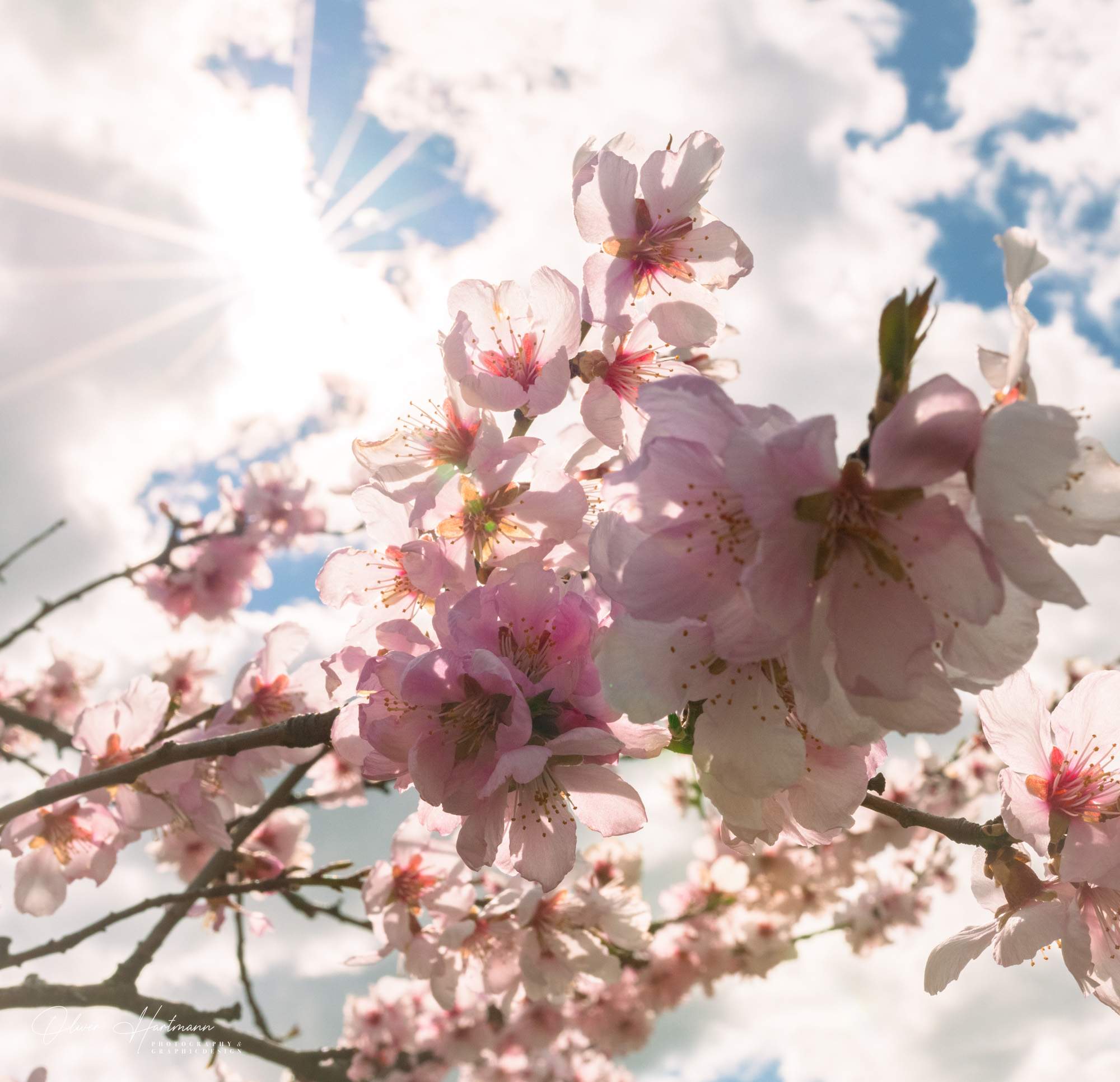 Bild ohne Beschreibung