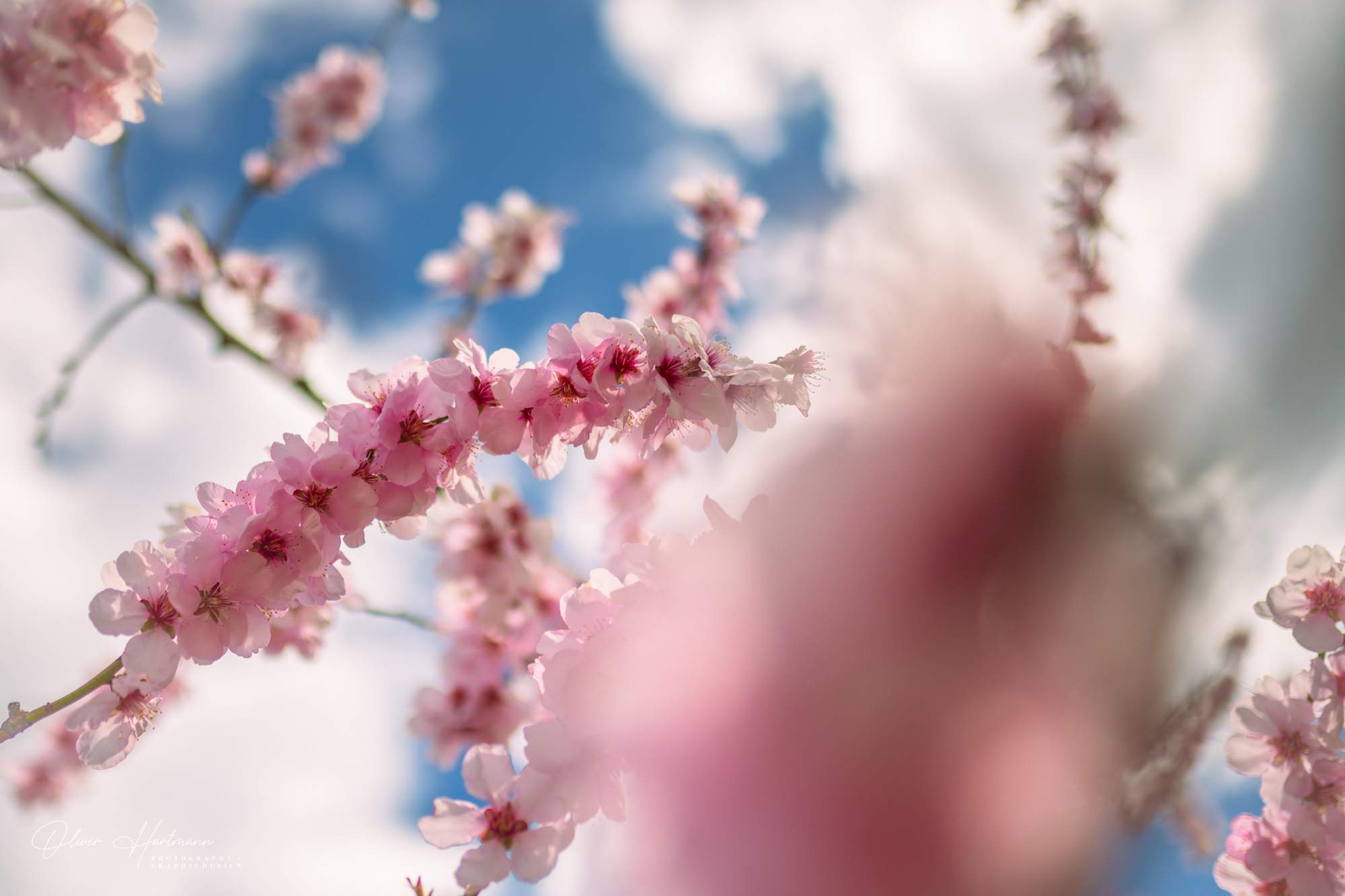 Bild ohne Beschreibung