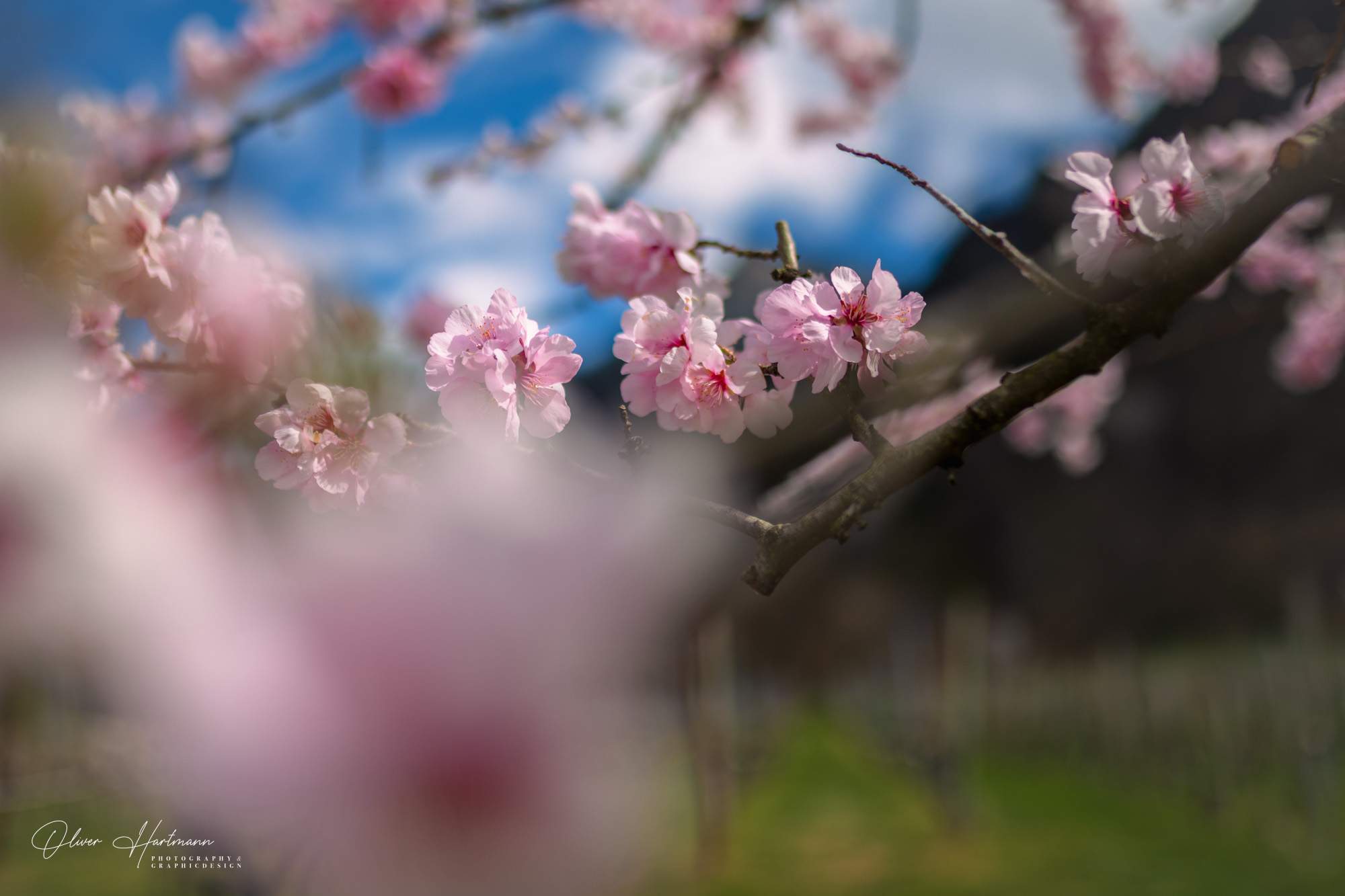 Bild ohne Beschreibung