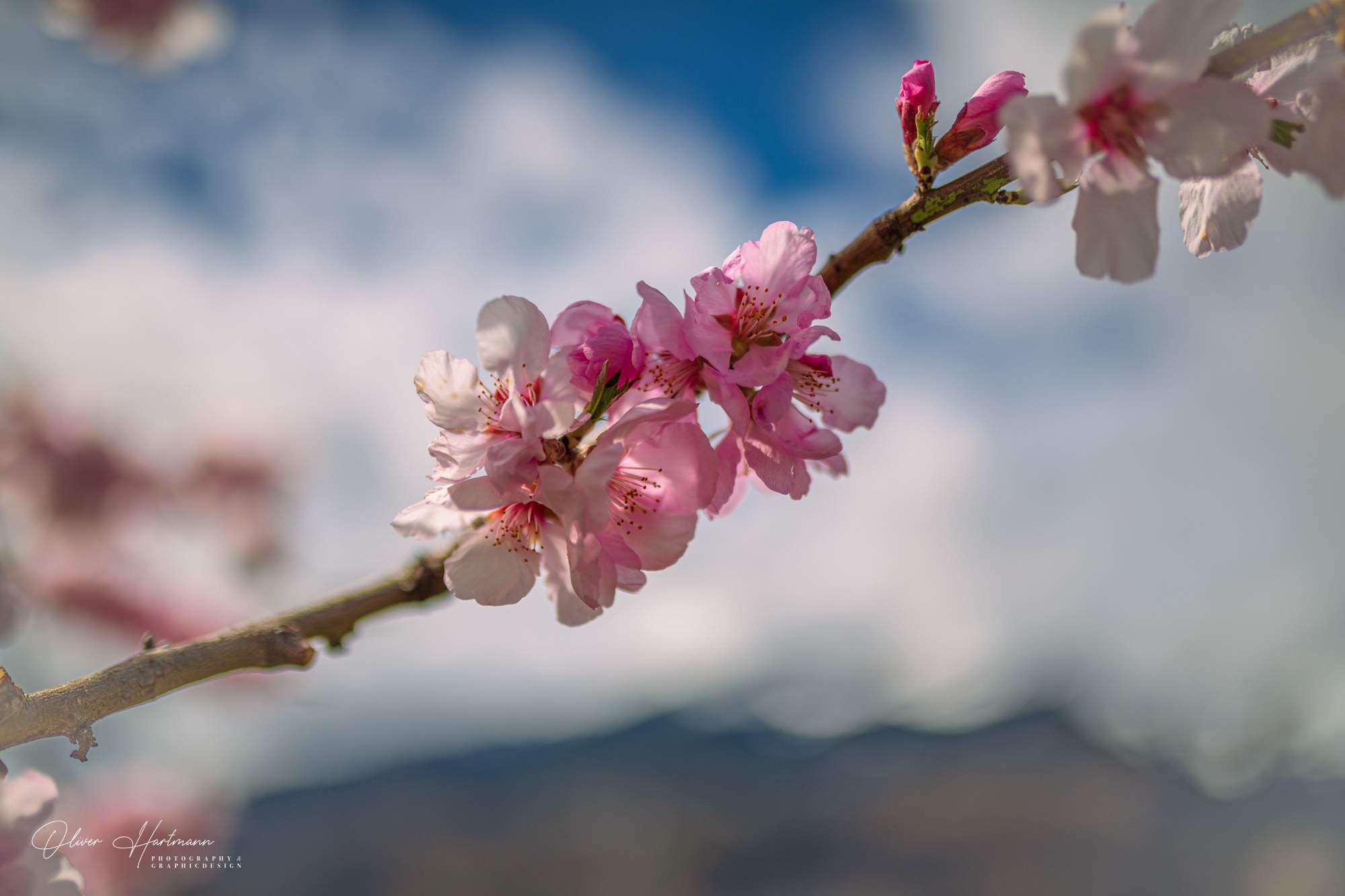 Bild ohne Beschreibung