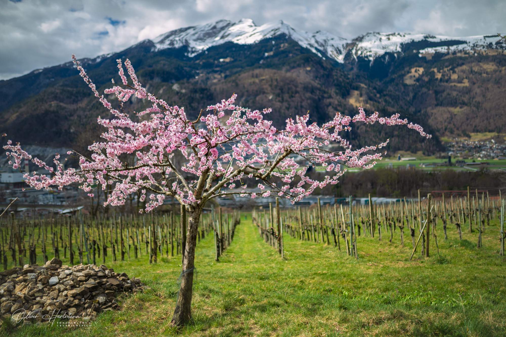 Bild ohne Beschreibung