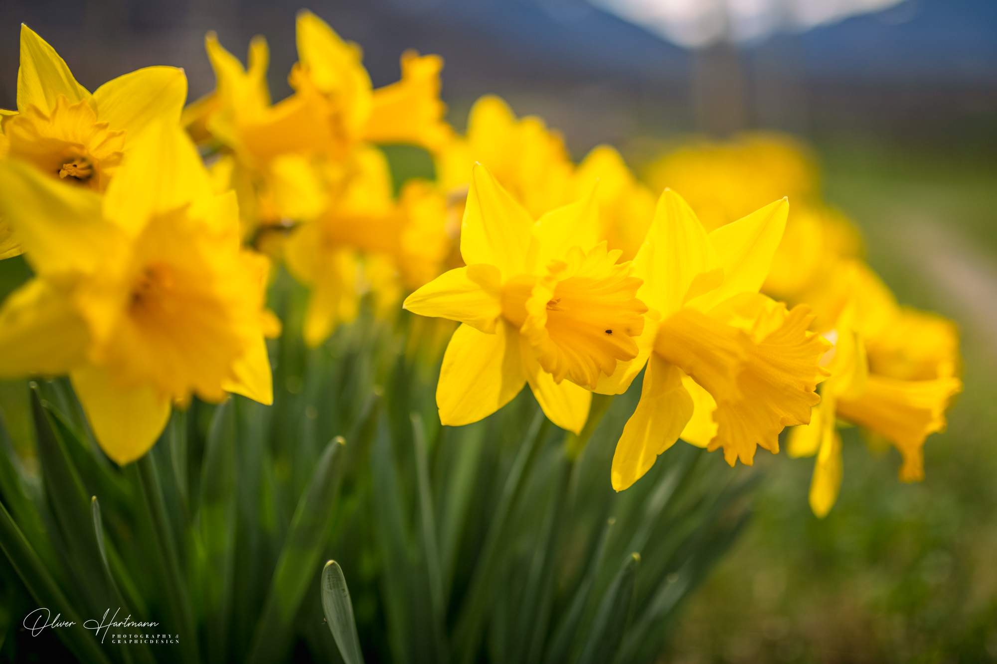 Bild ohne Beschreibung