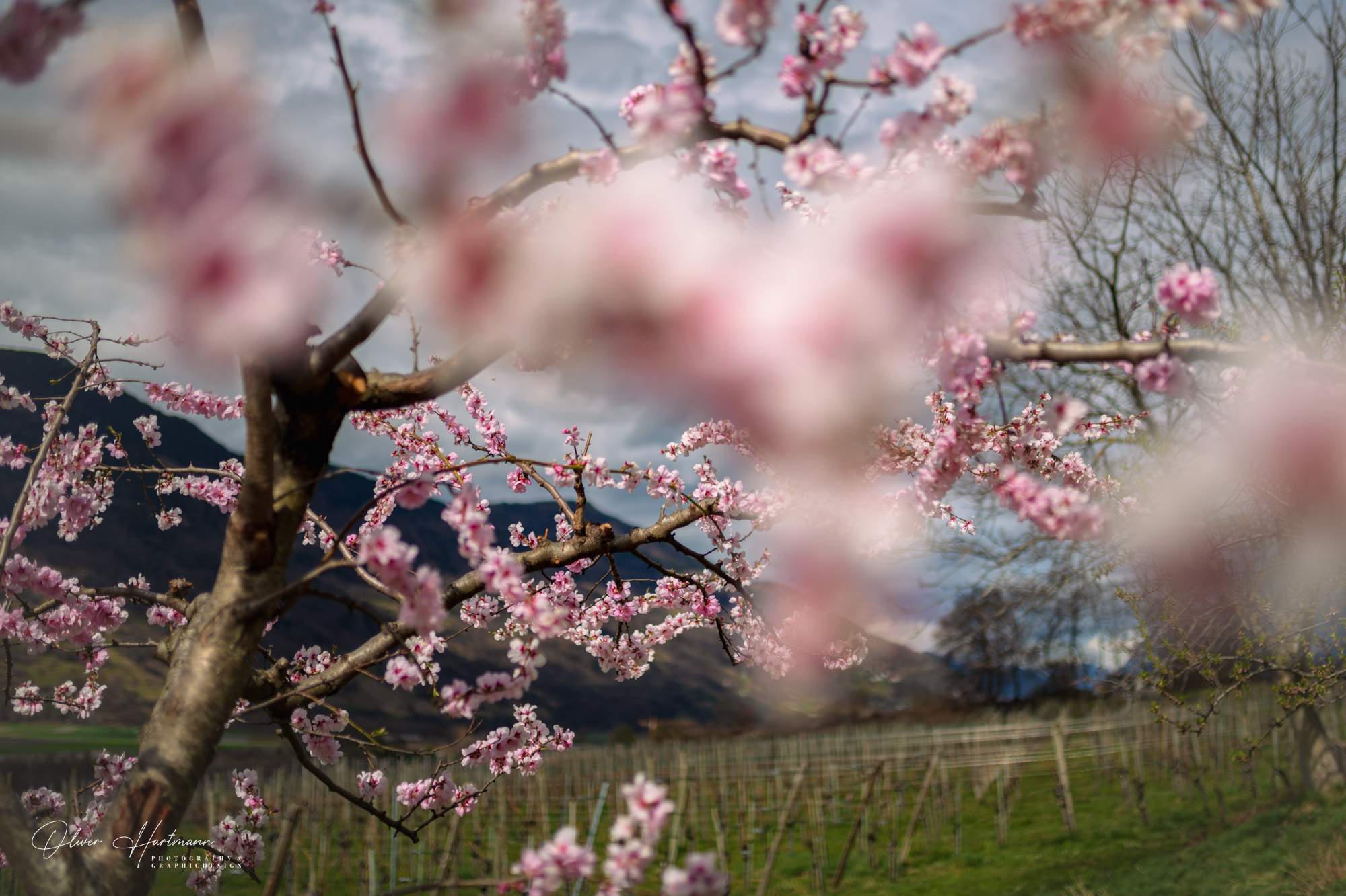 Bild ohne Beschreibung