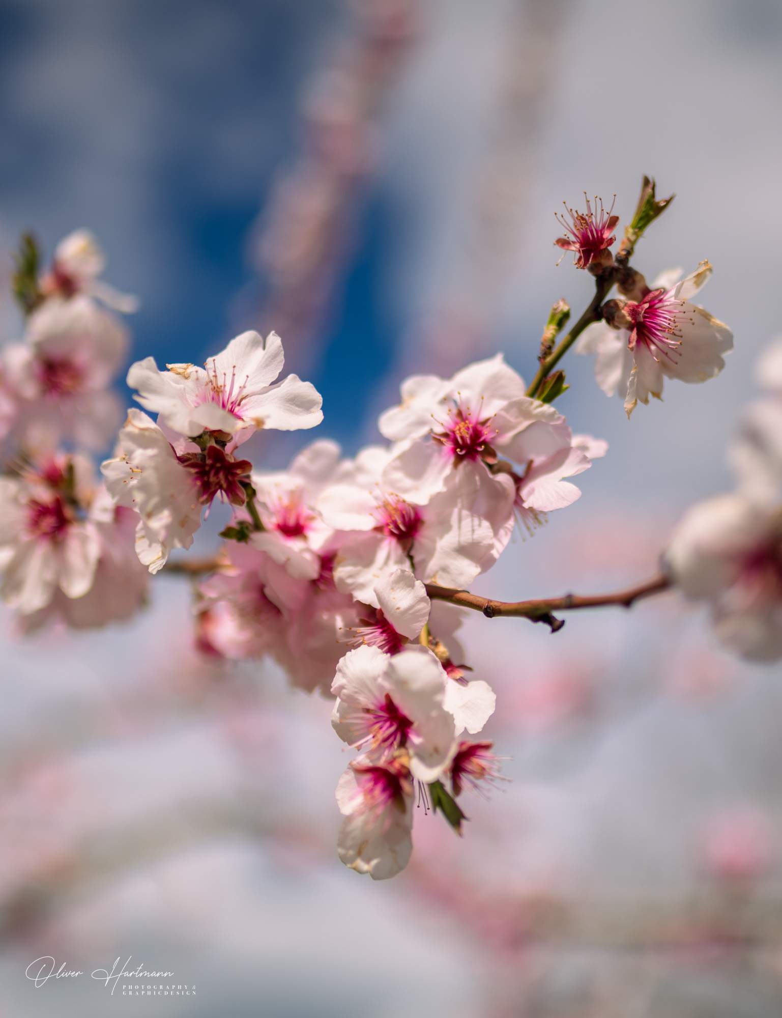 Bild ohne Beschreibung